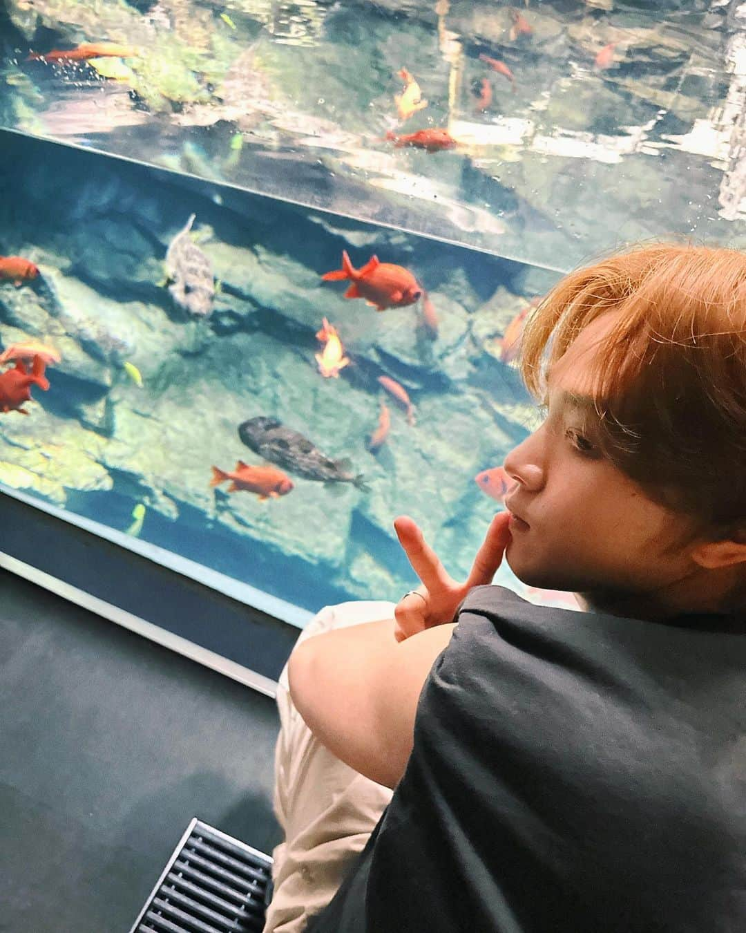 NCT 127さんのインスタグラム写真 - (NCT 127Instagram)「#HAECHAN 🌟🐡  #NCT127 #불가사리를찾아서 #FactCheck #不可思議 #NCT127_FactCheck #NCT127_FactCheck_불가사의 #FactCheck_불가사의_不可思議」10月12日 22時40分 - nct127