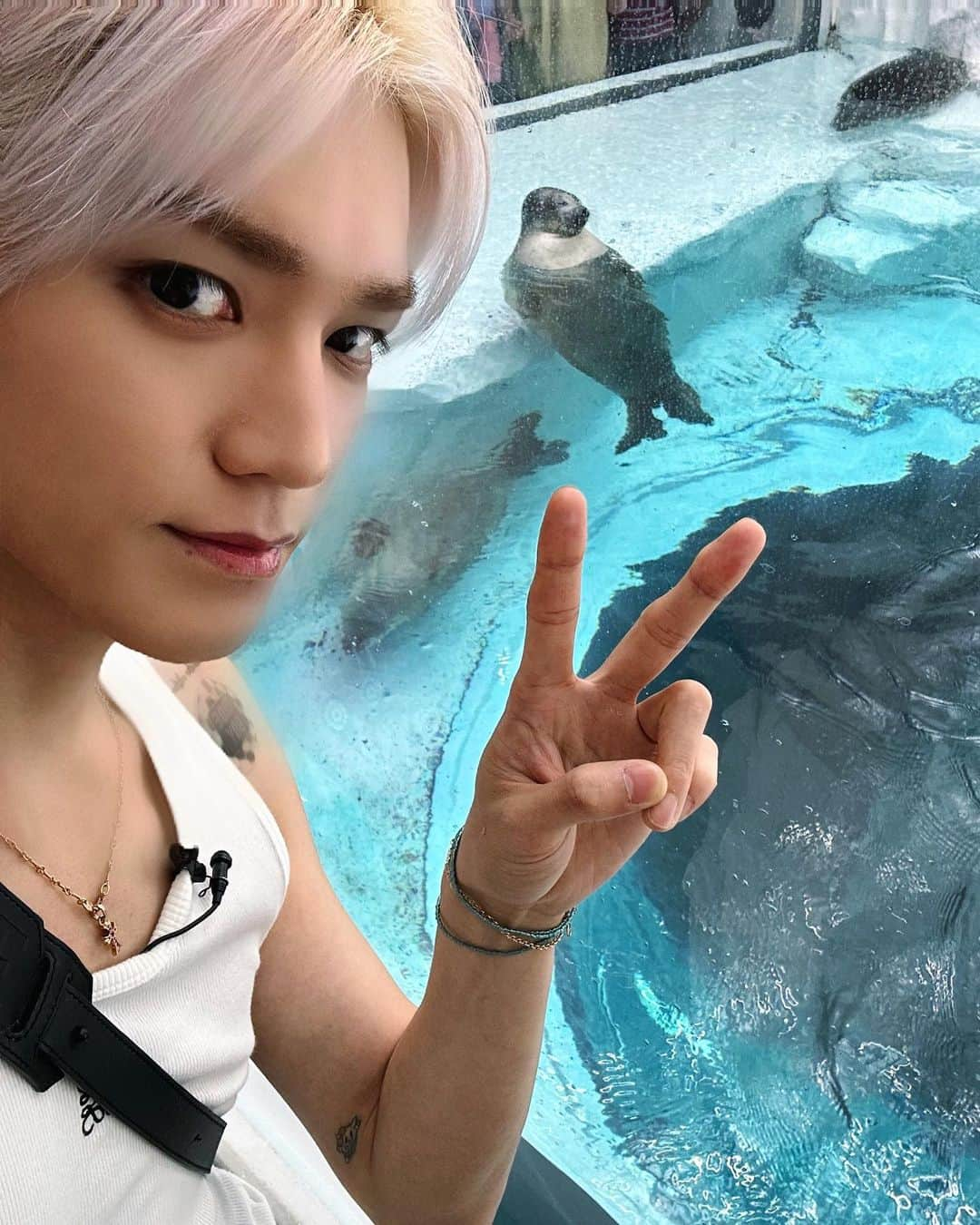 NCT 127さんのインスタグラム写真 - (NCT 127Instagram)「#TAEYONG 🌟🦭  #NCT127 #불가사리를찾아서 #FactCheck #不可思議 #NCT127_FactCheck #NCT127_FactCheck_불가사의 #FactCheck_불가사의_不可思議」10月12日 22時43分 - nct127