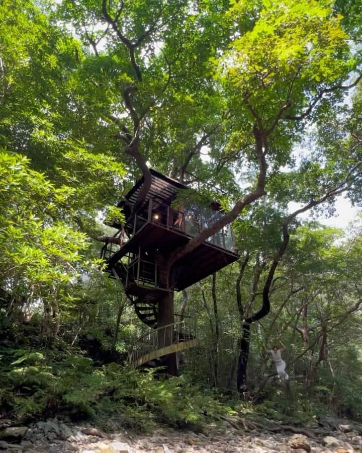 Awichのインスタグラム：「One of my favorite places in the world 🌎  Treehouse is the dream house❤️🌳   木の上の夢の家🌳💖🤤 この世に存在してくれて有難う🥹 Love you @treeful.treehouse」