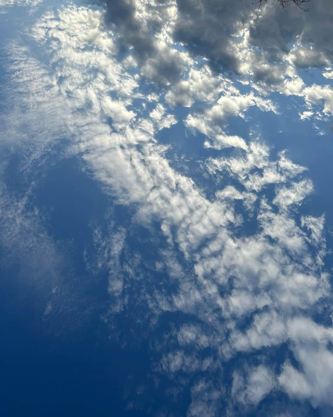 花野じゅりあのインスタグラム：「⁡ ⁡ ⁡ ⁡ 気持ちのいい天気の一日 ⁡ 見上げたら、のぼり龍がいました ⁡ ⁡ ⁡ ⁡ ⁡ ⁡ ⁡ ⁡ ⁡ ⁡ ⁡ ⁡」