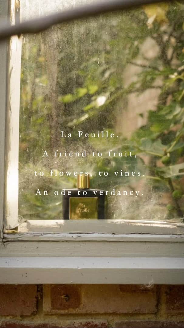 ミラーハリスのインスタグラム：「A friend to fruit, to flowers, to vines. Discover La Feuille」