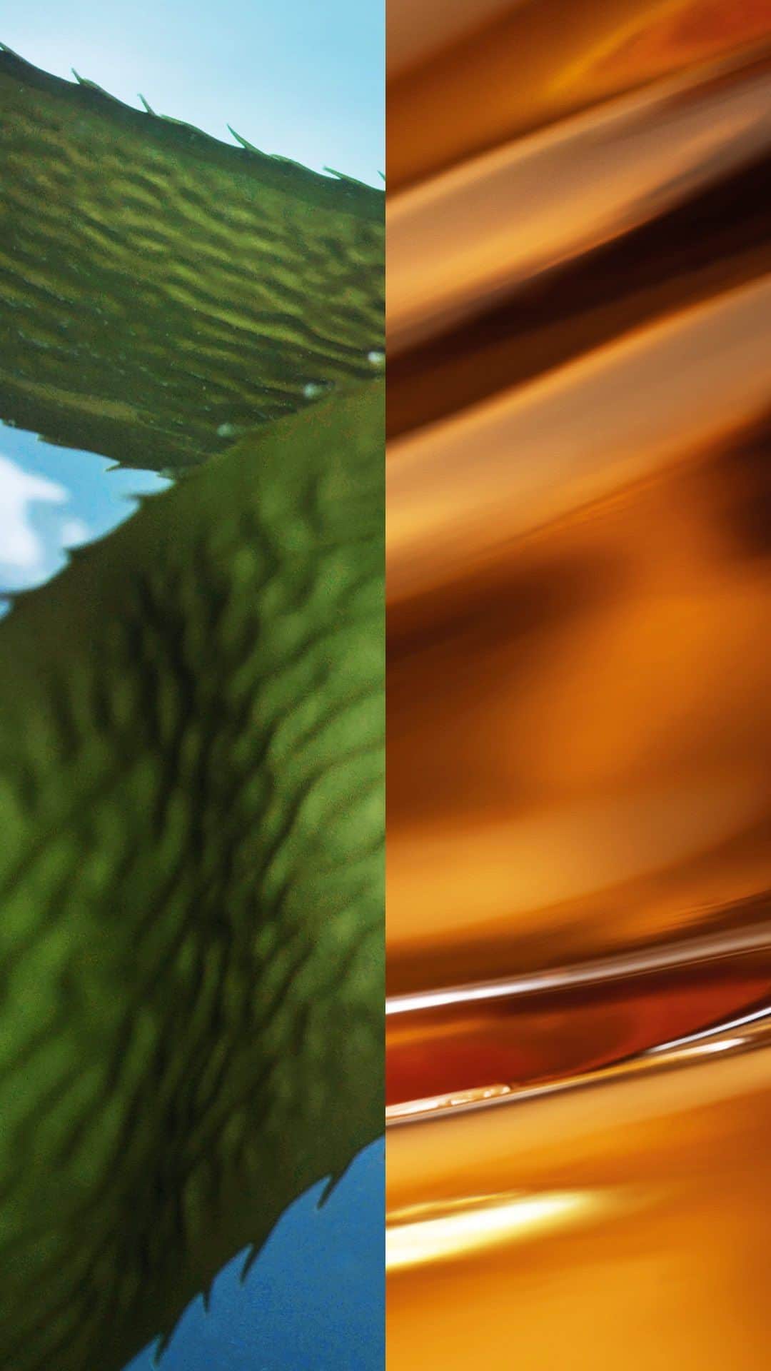 ドゥラメールのインスタグラム：「Our proprietary elixir – visible youth-renewing Miracle Broth™ – taps into the power of self-regenerating Giant Sea Kelp and flows through the heart of La Mer.  Discover what scientists at the Max Huber Research Labs have revealed about La Mer’s transformative skincare on LaMer.com #LaMer #LaMerSkincare #MiracleBroth」