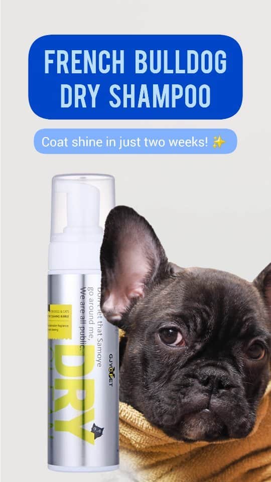 French Bulldogのインスタグラム：「🛍🛒 Best French Bulldog Dry Shampoo Foam 🧼🛁🐶  💕 "Instantly removes all dirt and odors from Momo!" Thank you French Bulldog Store!" 💕 Jennifer G., our customer  👉🏼 With this breed specific grooming needs, we made this French Bulldog Dry Shampoo as a quick bath alternative. One of the go-to grooming product for French Bulldog owners is our dog dry shampoo. Understand its benefits, how to use it, and its significance will keep your Frenchie's coat in top-notch condition! 🐾🤍  �There are several advantages to using our World's best French Bulldog shampoo, including:  ✅️ Rich In Natural Oils ✅️ Quick and Convenient ✅️ Reduces Odors ✅️ Refresh and Revitalize ✅️ Gentle Sensitive Skin Care ✅️ PH Balanced  . . . . .  #FrenchieGrooming #FrenchBulldogShampoo #FrenchieCare #HealthyCoat #FrenchieLove #PetGrooming #FrenchieFresh #DogHygiene #FrenchieLife #ShampooSolutions #FrenchieBeauty #PamperedPups #frenchbulldog #frenchie #frenchiemom」