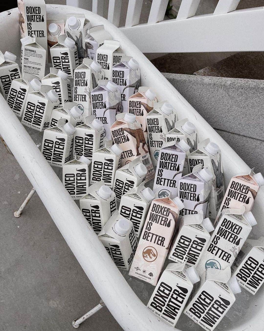 BoxedWaterのインスタグラム：「Fact: Our Jurassic World-inspired cartons are one of our favorite designs yet. Shop at the link in bio 🦕  📷 via  @fayyeezy @caroline275 @amandasmitthh」