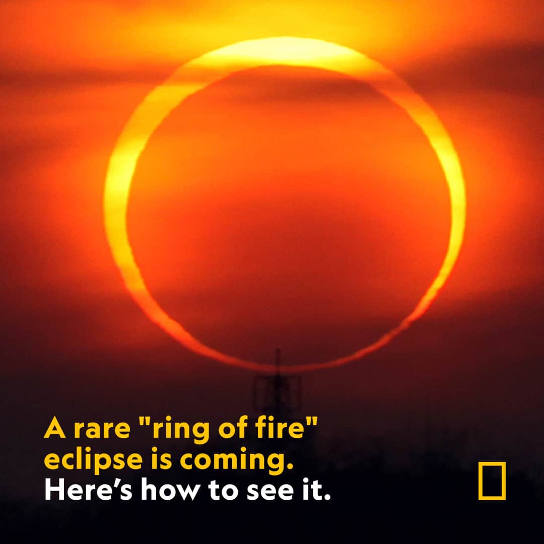 ナショナルジオグラフィックのインスタグラム：「On October 14, a “ring of fire” solar eclipse will appear across the western United States, as well as in parts of Central and South America. This celestial phenomenon won’t occur in the continental U.S. again until 2039. Head to the link in bio to learn more and where you can experience it for yourself.  Photograph by Visual China Group, Getty Images」