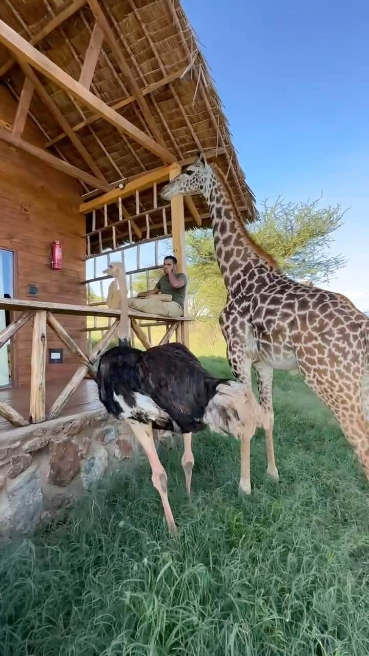 سعودのインスタグラム：「This is how you should live your life .. Sometime」
