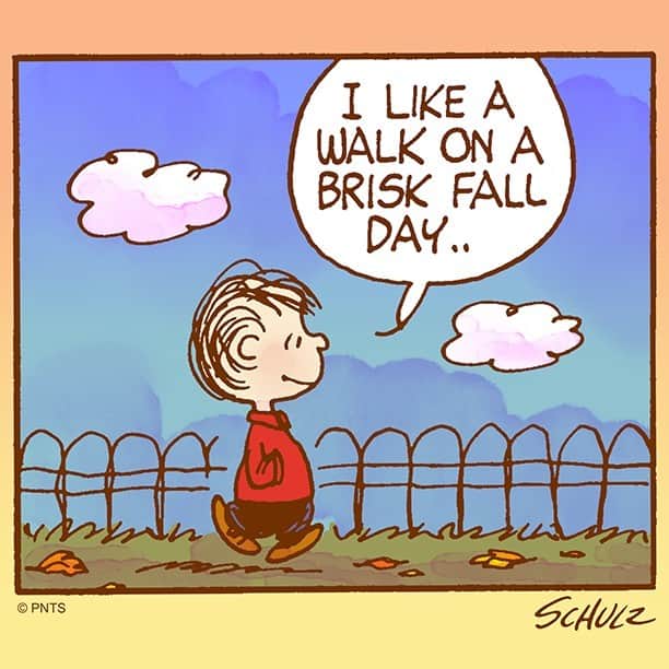 スヌーピーのインスタグラム：「Nothing better than a walk on a brisk fall day」