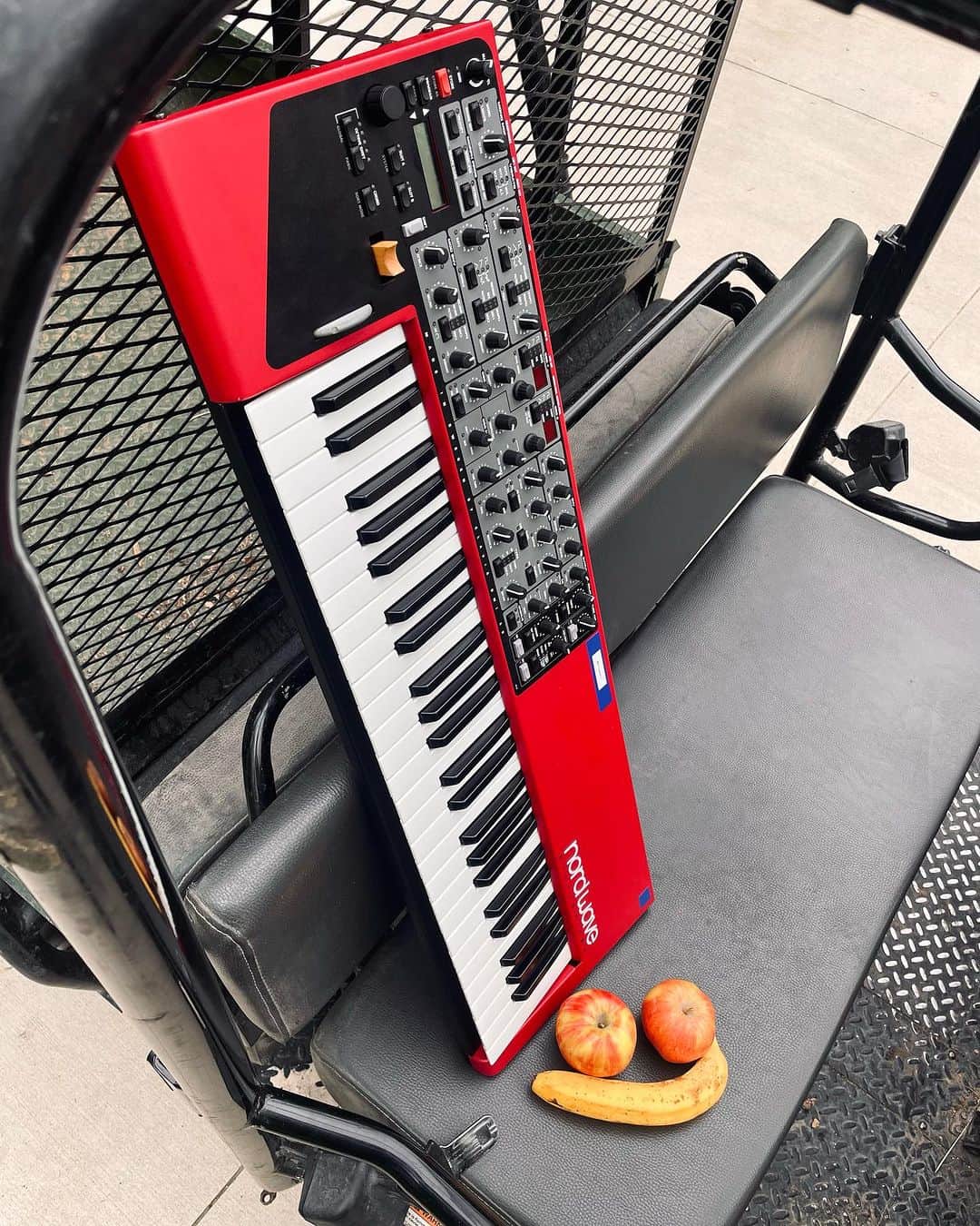 アウル・シティーのインスタグラム：「I find myself discomfited by the mischievous gaze fixed upon me by this fruit. It regards me with a countenance that causes me to ponder its intent with great trepidation. It is apparent that fruity mischief is afoot. I must remain watchful. Goodbye.」