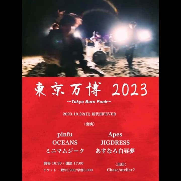 チケットぴあのインスタグラム：「||◤#pinfu◢||毎年開催している自主企画「東京万博 Tokyo burn punk 2023」開催🎉  【公演情報】 📅10/22(日)17:00 開演 🎪LIVE HOUSE FEVER(東京)  ■共演 Apes / OCEANS / JIGDRESS / ミニマムジーク / あすなろ白昼夢 🎟️チケット好評発売中🔥  ＜＜＜チケットは「pinfu ぴあ」で検索🔍＞＞＞」