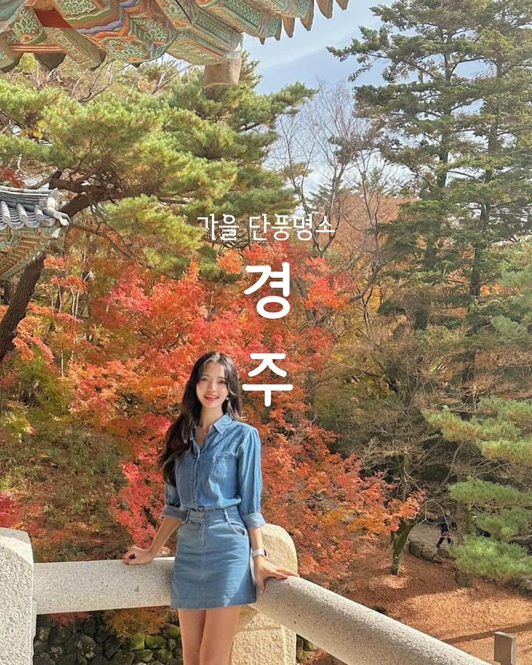 ジンエアーのインスタグラム：「#EVENT 🍁FALL IN 경주🍁 단풍여행, 진에어 타고 경주로 가을래요✈❔  📝 편지&태그 이벤트 (~10/23)  ① 진에어(@jinair_lj) 팔로우 ② 경주로 가을 단풍여행 같이가고 싶은 친구/가족을 @태그  ③ 갬성 가득한 편지를 댓글로 남겨주세요🤎  🍁Tip! 이 포스팅을 본인의 인스타그램 피드에 공유하고 #경주단풍여행 #진에어 해시태그 2개 와 함께 남겨주시면 🆙당첨률🆙  ✅ 선물  추첨을 통해 총 25분께, 김포-포항경주 편도 항공권 무려 #1인2매🎟️🎟️  ✅ 당첨 발표 10/25(수), 당첨 진심이 대상 개별 DM  - #경주포토스팟 확인하기📸👇🏻  포토스팟 1. 불국사   붉게 물든 단풍과 가을을 만끽하는 최적의 경주 여행지, 불국사! 불국사 단풍나무 앞 인생샷은 필수 of 필수! 낙엽이 모두 지기 전에, '단풍 극락'으로 바로 떠나보기🎈  포토스팟 2. 도리마을  안가면 무조건 아쉬운 경주의 은행나무숲💛 남이섬에 메타세콰이어길이 있다면, 경주엔 은행나무숲, 도리마을!  가을연가, 경주에서 한 폭 찍어보기 어때요🙆🏻‍♀️🙆🏻‍♂️  포토스팟 3. 운곡서원   은행나무가 노란빛으로 물들면  절정에 다다르는 아름다움을 자랑하는 서원! 은행나무의 절경을 한눈에 담는 명당 포토스팟을  사수하기 위한 삼각대는 필수!📸   포토스팟 4. 분황사   분홍빛 코스모스만 생각했다면 오산! 노랑빛 황화코스모스가 만개한 경주 분황사에서  알록달록한 가을빛 꽃들 사이의 나 남겨보기🌻  📸 ʙʏ 경주 불국사 @_n_nsil 경주 분황사 @hi_shye 운곡서원 @hi_shye 도리마을 @jjieun_ououo  @야, 나랑 경주 같이 가볼가을🍁🙆🏻‍♂️🙆🏻‍♀️❔」