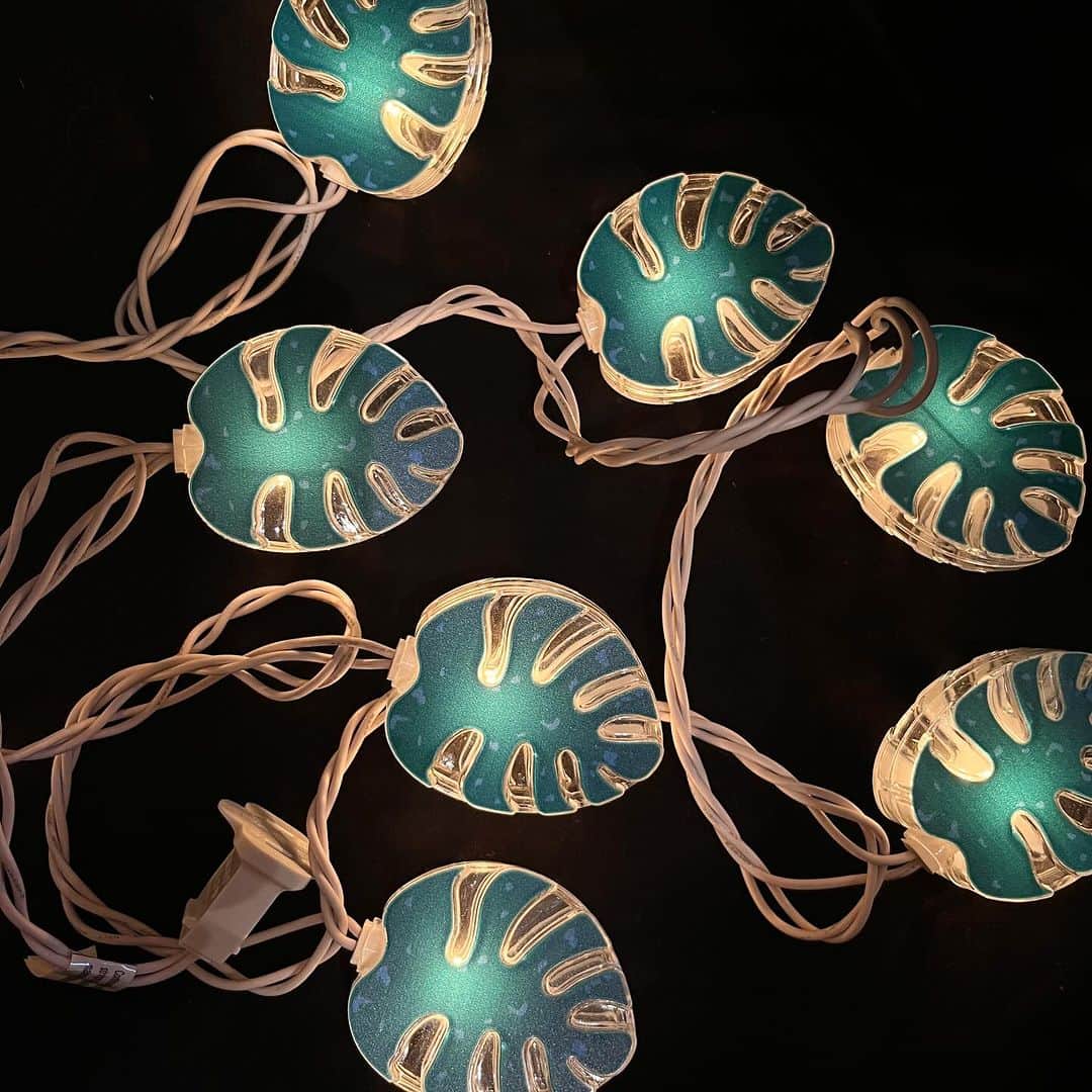 おもちゃやSPIRALのインスタグラム：「BOTANICAL Party Lights入荷しました🌴  こちらも10球ついてます💡」
