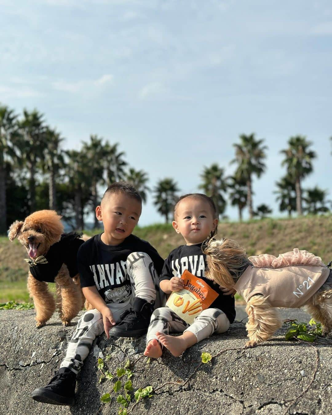 あすかさんのインスタグラム写真 - (あすかInstagram)「ㅤ ㅤ ㅤ いつかの🌴 三兄弟👶🏻👶🏽👦🏻 表情1人よく見たらそっくり🤭♥️  ㅤ ㅤ mama ㅤ tops： @bebe____ange  pt： @uniqlo_jp  bag&shoes&necklace： @hermes  sunglasses： @gentlemonster   ㅤ 3boy's  ㅤ tops&leggings： @zarakids  shoes： @converse_jp   ㅤ @berry.tsu_tan ： @ote.____   ㅤ ㅤ  #hermes#uniqlo#zarakids#シンプルコーデ#カジュアルコーデ#ブラックコーデ#30代コーデ#アラサーファッション#ママコーデ#ママファッション#プチプラコーデ#ママコーデプチプラ#エルメス#コンスタンスミニ#周防大島#赤ちゃんと犬#さんきょうだい#3兄弟#3兄弟ママ#お出かけコーデ   ㅤ」10月13日 7時09分 - ask_____10