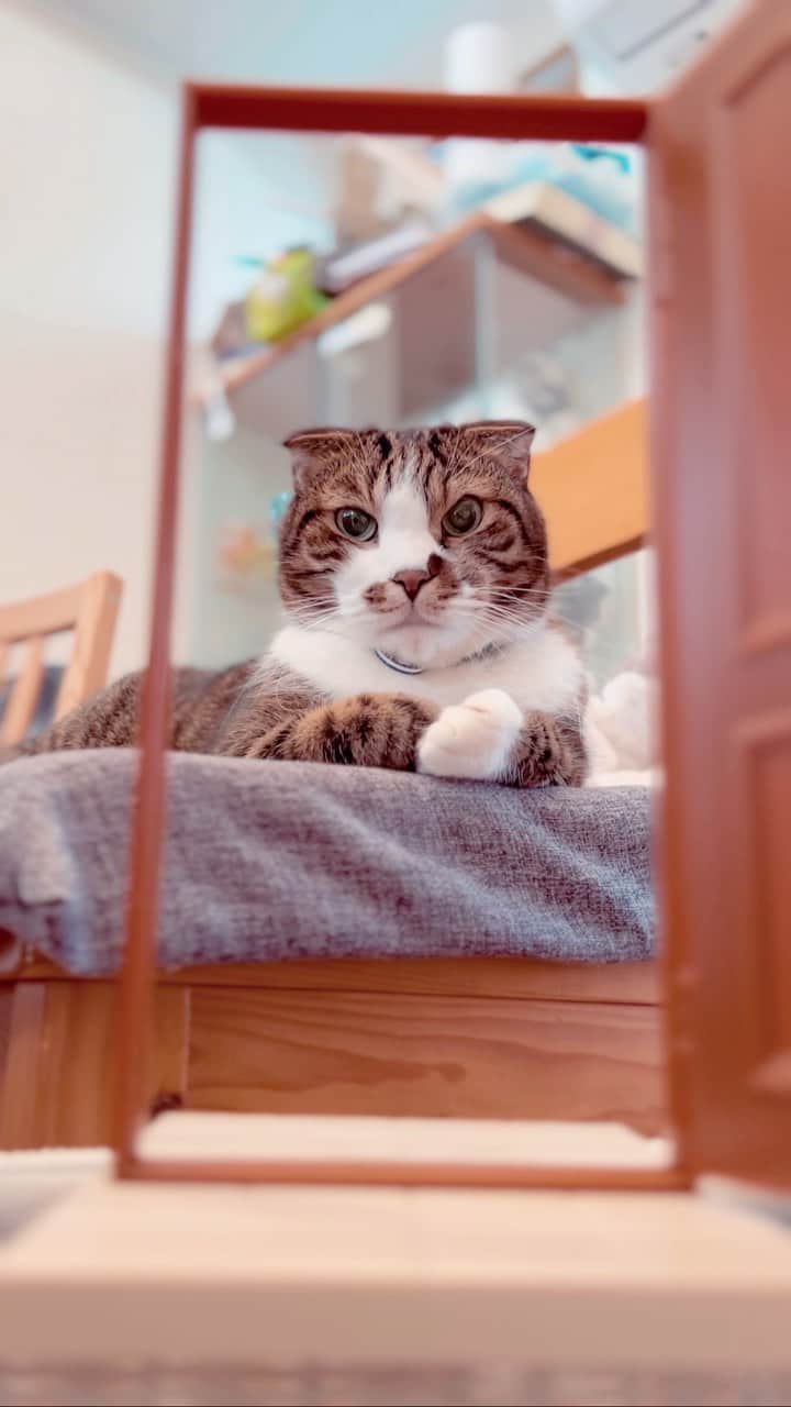 Nahoのインスタグラム