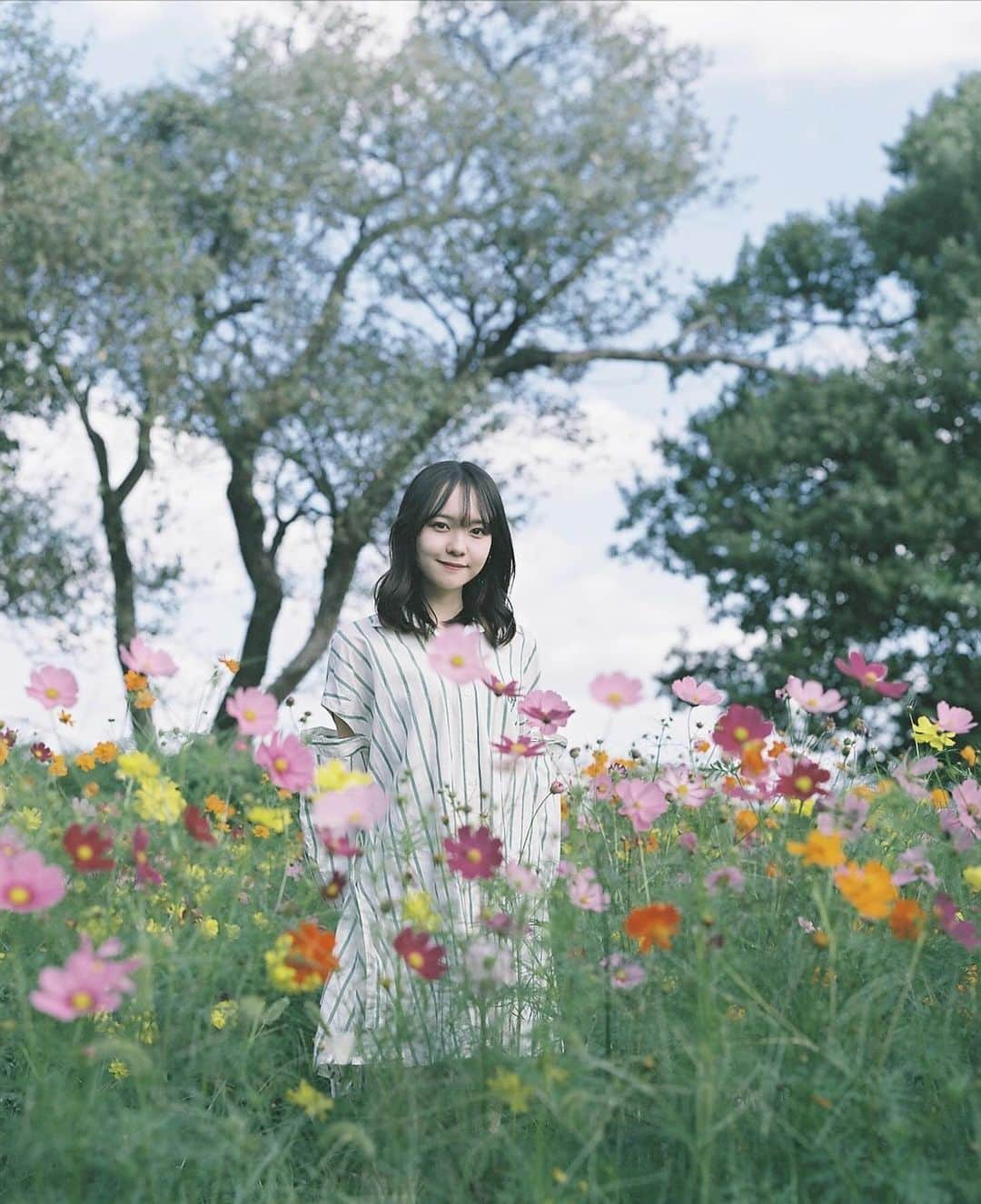 Masaのインスタグラム：「.  #▶︎▶︎▶︎ Swipe  All：Pentax6x7  Super Takumar 105mm F2.4 #pro400h  カラフルで綺麗やったな☺️  相変わらず土日の天気が微妙やん。  撮影日 : 2023年10月7日  #まさペン#エビプリ #pentax6x7 #pentax67 #バケペン #中判フィルム #film #filmcamera #filmphotography #フィルム #フィルムカメラ#フィルム写真 #igersjp #portrait #ポートレート #filmisnotdead #shiga #滋賀 #cosmos #コスモス」