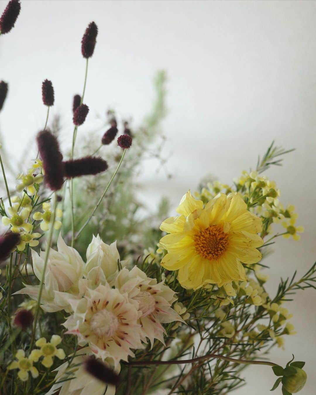 高垣麗子さんのインスタグラム写真 - (高垣麗子Instagram)「* 待ち受け画面にしたいくらいに 可愛いな 優しい気持ちになります𓂃𓂃  * #感謝 #flower」10月13日 7時42分 - reikotakagaki