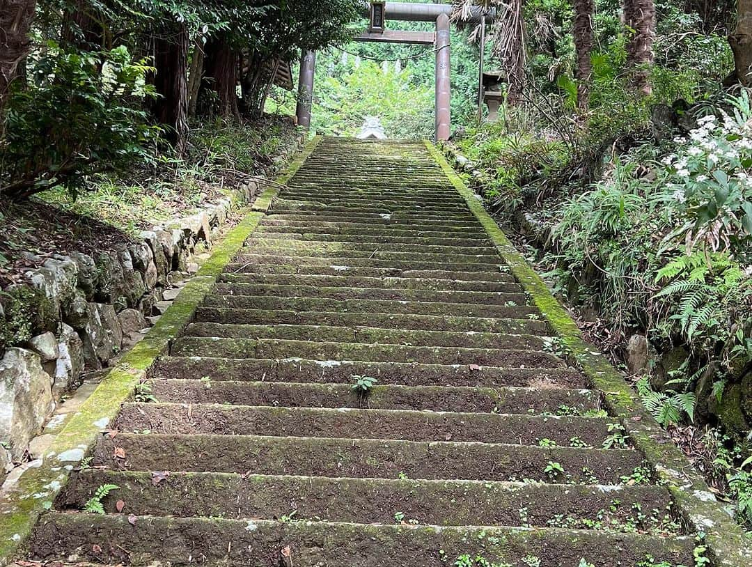 竹岡圭さんのインスタグラム写真 - (竹岡圭Instagram)「「なかなか日本！〜高速道路DRIVE1バン旅〜」のロケのひとコマ😊メイクアップアーティストのサキちゃんの撮ってくれる雰囲気写真がステキ💓  『なかなか日本！〜高速道路DRIVE1バン旅〜』tvk（テレビ神奈川）毎週月曜日20時55分〜。tvk映らない方もYouTubeで観られますので、是非ご覧くださいねー❗️ https://youtube.com/playlist?list=PLr4_STTzGB2VQscY6S53gJUWvzxRo2L6S    ☀️「なかなか日本！〜高速道路DRIVE1バン旅〜」のHPはこちら http://www.tvk-yokohama.com/naka_jpn/    #竹岡圭 #中村優 #古川登志夫 #なかなか日本 #NEXCO中日本 #ネクスコ中日本 #tvk #ドライブ #女子旅」10月13日 7時45分 - kei_takeoka