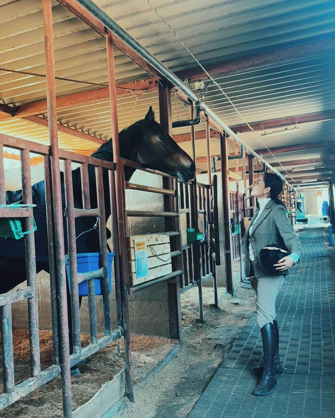 白澤貴子のインスタグラム：「Wonderful horse trekking with a view of Mt. Fuji  御殿場では初日と２日目、それぞれ別の乗馬クラブへ。  初冠雪日だった初日は老舗のビッグマウンテンランチでサンダーに乗り、ウェスタンスタイルで駆け抜けて。(7〜10枚目) ここの厩舎で出会った子がとても人懐こくて、愛しのCocoを思い出す、懐かしくてちょっと切ないひとときに。  ２日目は富士スピードウェイホテルが提携している北駿ホースヴィラでコスタデプラタに。(1〜6枚目) 引退競走馬をリトレーニングしているとのことでしたが、乗ってすぐに安心感を得られるほどの仕上がり。 聞けば素晴らしい志を持って経営されており、そのお話に心熱くなるひとときも。 私たちは駈歩までさせていただきましたが、常歩で森林浴をしながらゆったりとお散歩をすることももちろん可能。 乗馬が初めての方でも気持ちよく外乗できそうなので是非 @fujispeedwayhotel に宿泊された方には体験してほしい！ そして私自身もまた来たい、と心から思う素敵なクラブでした。  さて、今回の投稿は5枚目に #咀嚼音 フェチの方への動画。 また、9枚目の駈歩動画の最後には奇跡的なオチがあるのでご興味ある方はぜひ笑  #白澤と外乗 #白澤と静岡県 #hackingoutwithtakako #_tahco_et_cheval #horsetrekking」