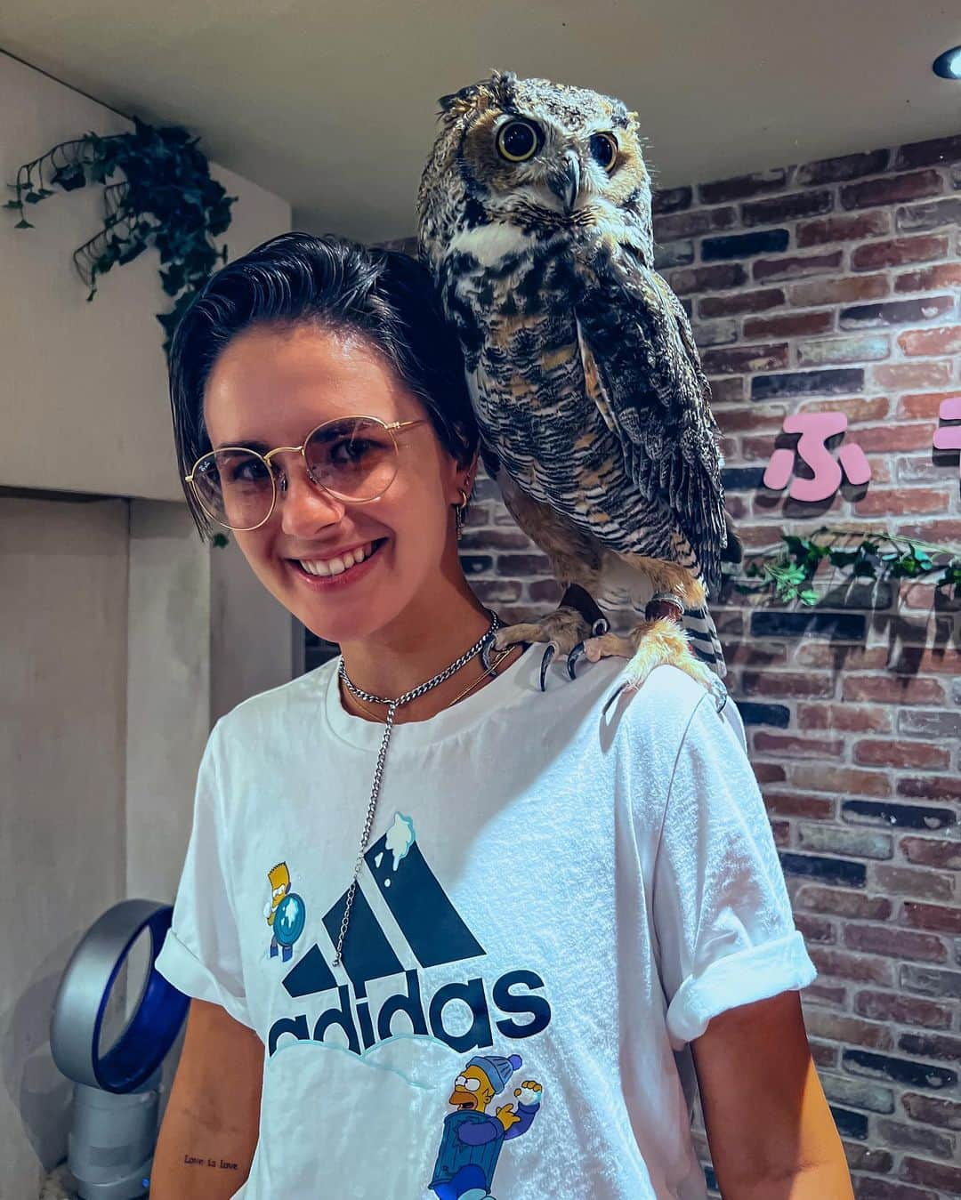 ナタリア・ザビアコのインスタグラム：「Animal journey in Tokyo 🇯🇵🦉🦥🐶🥰  #tokyo  #japan  #pet  #frenchie」