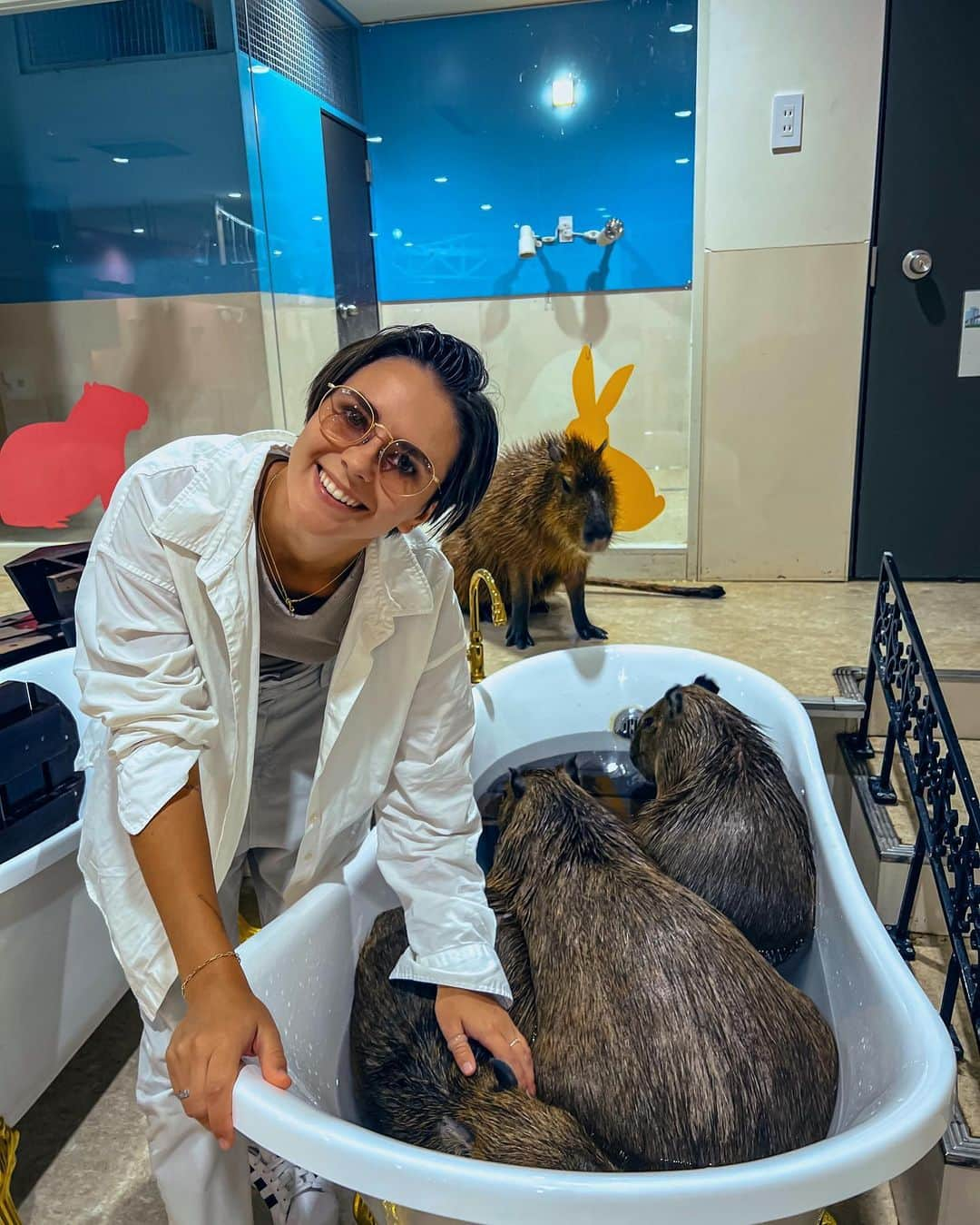 ナタリア・ザビアコさんのインスタグラム写真 - (ナタリア・ザビアコInstagram)「Animal journey in Tokyo 🇯🇵🦉🦥🐶🥰  #tokyo  #japan  #pet  #frenchie」10月13日 14時50分 - natalia_zabiiako