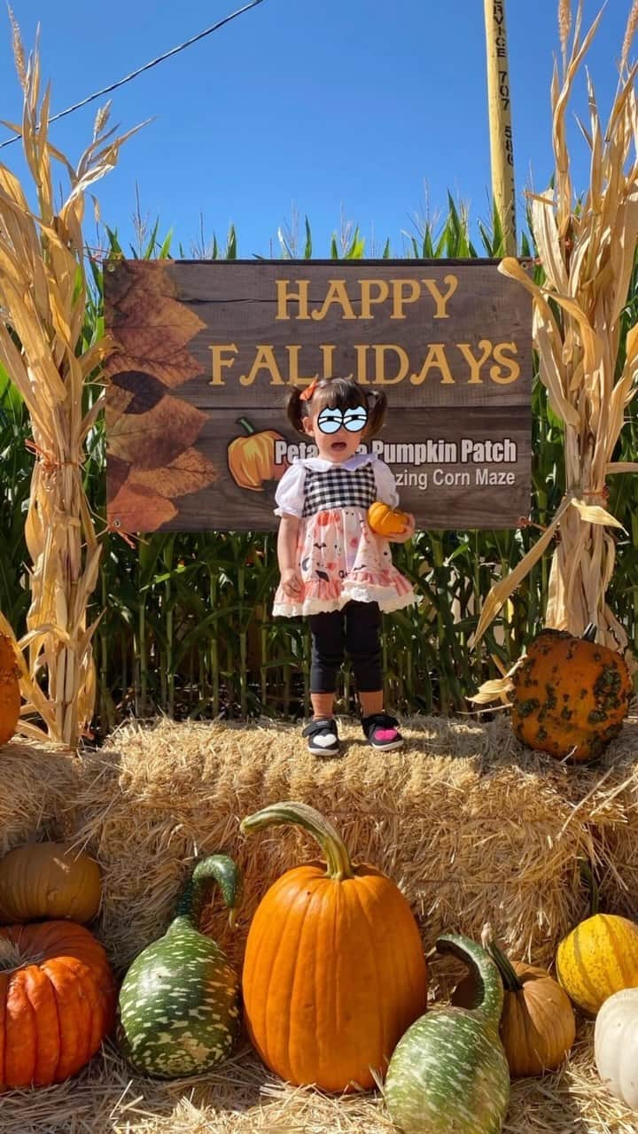 森理世のインスタグラム：「Fall is here 🍂🎃🥰 (see more on my blog)」