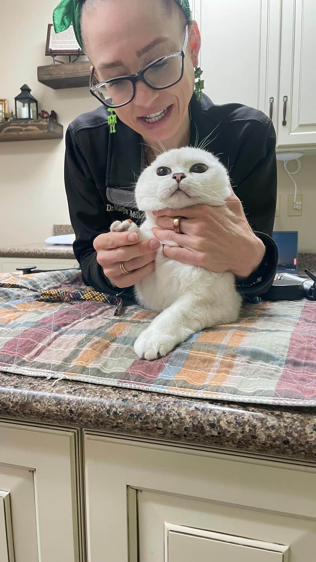 ミスター・ホワイトのインスタグラム：「Went to the vet for my quarterly check up today ❤️ Physical exam went well and waiting for my blood test result 😊 #cancersurvivor #cancerfighter #cancerfree   #meow #cute #cats」