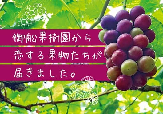 ナッセ熊本 編集部 のインスタグラム：「宇城市不知火町 【御舩果樹園（みふねかじゅえん）】さんに取材でうかがいました。 マルシェでもお見かけするとってもかわいいキッチンカーで、果樹園さんだからこそできる果物たっぷりのスムージーを提供されていらっしゃいます。自然の恵みたっぷり、激ウマです！  #御舩果樹園  記事はTOPのプロフィールリンクをクリック  ◆御舩果樹園（みふねかじゅえん） ◆熊本県宇城市不知火町  @mifune_kajuen  #ナッセ#熊本ナッセ#NASSE#nasse#熊本県#熊本#果樹園#ぶどう#シャインマスカット#スムージー#マルシェ#キッチンカー#恋する果物 #kumamoto#kumamotocity#sightseeing#gourmet#kumamotogourmet#japanesegourmet#kumamototrip#visitkumamoto」