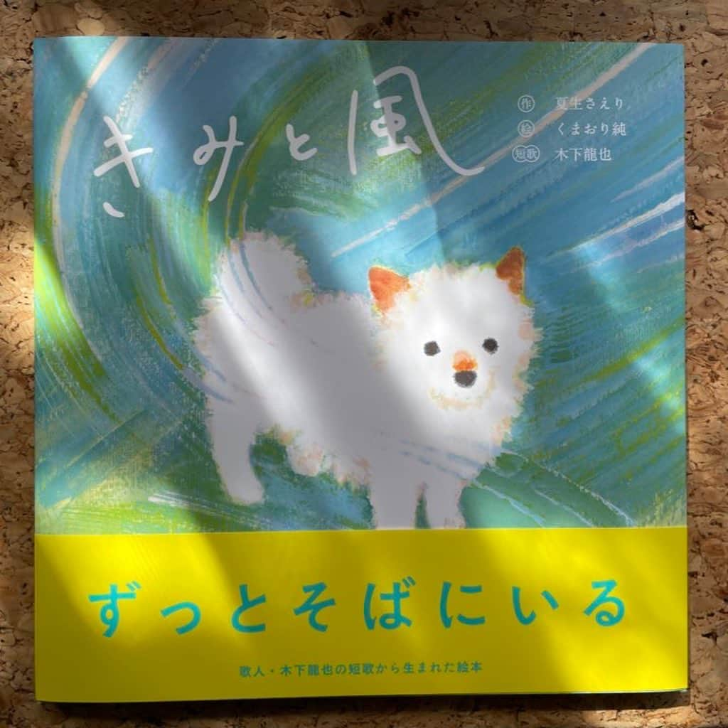 さえりのインスタグラム：「「愛された犬は来世で風となり　あなたの日々を何度も撫でる」  歌人の木下龍也さんが私のためにかいてくださった短歌にあまりにも感動して、旧Twitterに載せたところ約7万いいねが寄せられて…。お守りのように抱きしめておく言葉って、なんて素晴らしいんだろうって、何度も何度も思いました。愛犬との別れを思っては不安になる時、そしてすでに別れた犬と会いたくて寂しくなる時、いつでもこの歌を呟いて、お守りのように抱きしめてきました。  そしてこのたび。 木下さんの短歌をもとにした、絵本ができあがりました。  短歌ももちろん載っていて、その世界観を膨らませた文章と、くまおり純さんの素晴らしく愛らしい絵で彩られた、とっっっっても美しい絵本になりました。うれしい。  犬を愛する気持ちを、たくさんたくさん詰め込んで執筆したので、ぜひ読んでほしいです。たくさんの犬が、これからも愛されますように。愛されて愛されて、やさしい風になりますように。  犬と風を抱きしめたくなる、あたたかい絵本「きみと風」、10月18日発売です。よろしくお願いします。」