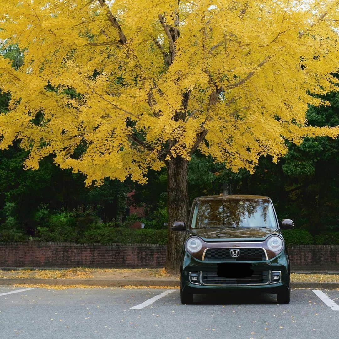 Honda 本田技研工業(株)のインスタグラム：「鮮やかなイチョウが秋を感じさせてくれますね。 愛車との色合いも相性ぴったりです😊 . 「Nのある生活」 Photo by @youxme_green . #MeandHonda #Honda #thepowerofdreams #クルマ #car #HondaCar #ホンダ好きと繋がりたい #Nシリーズ  #NVAN #エヌワン #車のある風景 #愛車のある風景 #愛車撮影 #ドライブ #ドライブ好きな人と繋がりたい #ドライブスポット #Hondalife #carphotography  #hondagram . 本アカウントでは、「 #MeandHonda 」をつけてInstagramに投稿された皆さんの写真を紹介させていただきます。 10月はNシリーズをテーマにした写真をご紹介します。 11月のテーマは紅葉の予定です。ぜひご投稿ください！ . 思い出の写真や自宅付近で撮影された写真など、たくさんのご投稿をお待ちしています。」