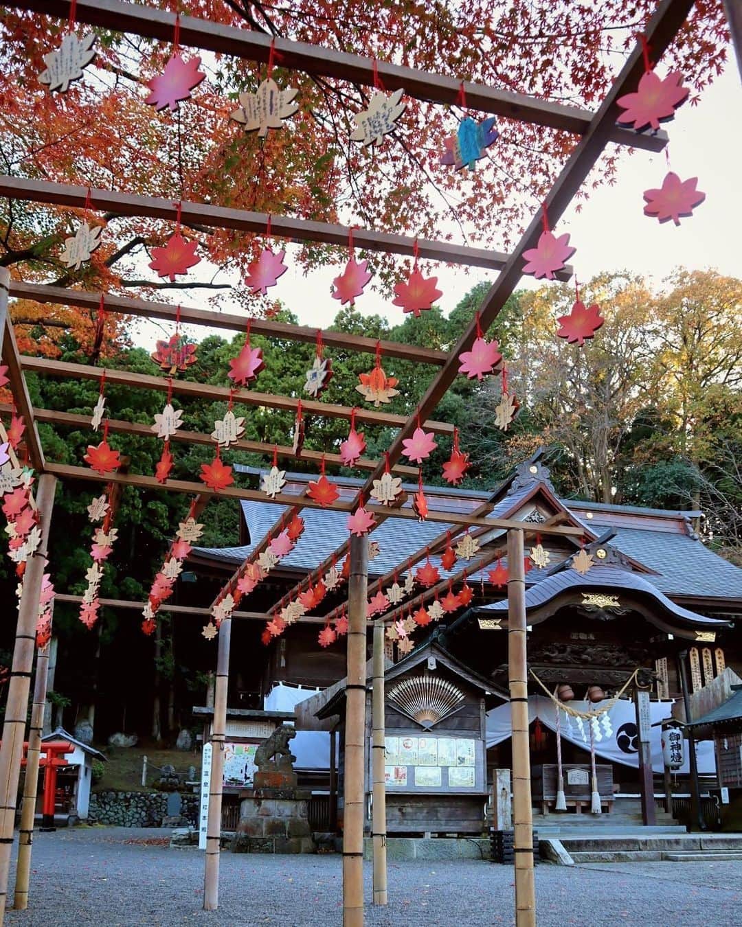 Rediscover Fukushimaのインスタグラム：「🍁Autumn looks stunning at Yumoto Onsen Shrine!🍁  Yumoto Onsen Shrine is dedicated to the Shinto Gods of hot springs and medicine, and is a great spot to enjoy the beauty of autumn foliage.   This shrine is estimated to be over a thousand years old and was designated as a tangible property of the city of Iwaki, in the Southern coast of Fukushima Prefecture.   Consider adding this shrine to your itinerary if you are in the area!  💡The shrine is usually illuminated in the evenings (the specific time may vary depending on the day).  🗓️The peak for foliage around this area is typically between mid to late November.  We recommend walking around the Yumoto Onsen area, which has a nostalgic retro ambiance. Relax and soak your feet at the public footbath in front of the JR Yumoto Station (and don’t forget to bring a hand towel with you to dry your feet afterwards!).  ✨Would you like to visit this shrine this autumn? Let us know in the comments, and don’t forget to save this post for your next visit. 🔖  #visitfukushima #fukushima #iwaki #yumotoonsen #instagood #photooftheday #photography #travelphotography #japantravel #japantrip #jrpass #instatravel #picoftheday #trip #visitjapanjp #visitjapanus #visitjapantw #visitjapanca #visitjapanfr #visitjapanes #beautifuljapan #beautifuldestinations #japaninautumn #autumn #momiji #fall #explore #yumotoonsenshrine #onsen #onsenshrine」