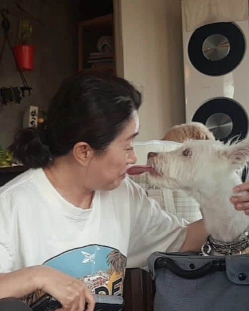 キム・ミギョンさんのインスタグラム写真 - (キム・ミギョンInstagram)「너희들 덕분에 오늘이 행복해♥️♥️♥️」10月13日 11時35分 - kim_mee_kyung