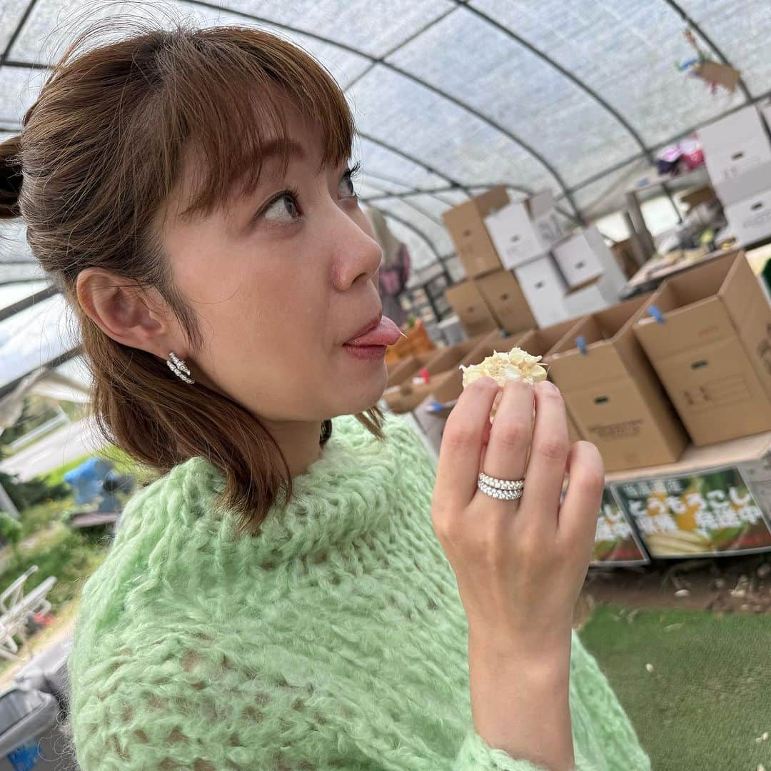 武村八重子さんのインスタグラム写真 - (武村八重子Instagram)「〜北海道旅行③〜 トマムから富良野へ行って泊まったフラノホテル。 バチェラーにも出てたけど、6月はラベンダー🪻が広がってとても綺麗との事。 ラベンダーは見られなかったけど、それでもお部屋に温泉♨️あって、お食事美味しかったから大満足‼️ . ここから札幌に向かったのだけど、途中行きたかった美瑛から上野ファームへ☺️ 本当に素敵なガーデンが広がっていて、沢山のお花に囲まれ、ここで彼氏も見つけて笑😆 素晴らしい場所でしたー！ . そして、かんのファームにも寄ったのだけど、頂いた🌽が美味しすぎて、生で食べられるとの事で初めて生のトウモロコシ食べた😋 沢山お土産に買ってきたのです。 . 北海道は魅力がいっぱい！ . @ueno_farm  @kanno_farm_official  @furanohotel  #北海道旅行 #かんのファーム #上野ファーム #富良野 #富良野ホテル #北海道グルメ #秋だけど夏休み #車の中はずっと仕事の電話💦 #イライラが止まらなかったけどガーデンで癒された」10月13日 11時35分 - piano_yae