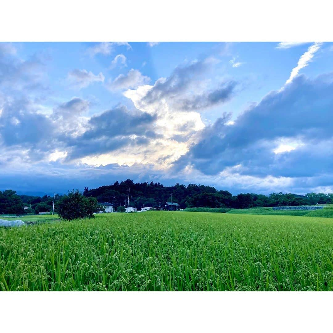 キタキマユさんのインスタグラム写真 - (キタキマユInstagram)「雪印メグミルクさん❄️ 雪印北海道バターのCMに、出演させて頂いております🤲💖  「初恋」篇 「元気出してね」篇 「席替えと恋心」篇   撮影初日に、侑里ちゃん、憩ちゃん、うみちゃんに、おはようございます☀と挨拶をした瞬間、 3人のあまりにキラキラと透き通る可愛さに 『はぁぁ🥹💖』 と、思わず声が漏れてしまったのを覚えております🌈✨（笑）  撮影の間中もずっと  「はぁ〜可愛い🥹💖はぁ〜…可愛い🥹💖💖」  しか、言葉が出てきませんでした🤲💕（笑）  現場も、とても心地よい優しい空気に満ち溢れていて🌸✨ 実は撮影2日目がお誕生日だったのですが、こんなにも素敵な現場で新しい歳を重ねる事ができて、本当に幸せな想いでいっぱいでした🥹💕  雪印メグミルクさま、松岡芳佳監督、プロフェッショナルなスタッフの皆さま🌈✨ そしてどこまでもキラキラと可愛い、侑里ちゃん、憩ちゃん、うみちゃん💖 こんなにも素敵な時間をご一緒させて頂き、本当にありがとうございました🥰✨✨✨  『雪印北海道バター🧈』  皆さま、どうぞよろしくお願いいたします🥰💖  #雪印メグミルク #雪印北海道バター #CM #出演させて頂いております🤲✨ #優しい時間 🌈✨ #ありがとうございました 💖 #味はバターで決まります 🧈 #よろしくお願いします 🥰💕 #長谷侑里 #早瀬憩 #希咲うみ #はぁ〜可愛い🥹💖 #kitakimayu #キタキマユ」10月13日 11時49分 - kitakimayu_official