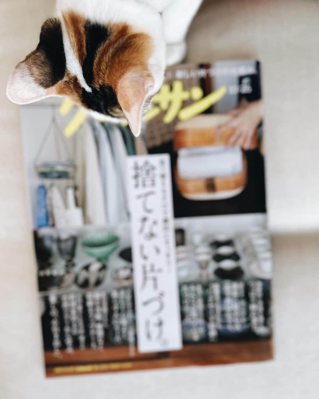 早坂香須子さんのインスタグラム写真 - (早坂香須子Instagram)「クロワッサン最新号 移住に向けて断捨離意欲満々の私に、捨てなくて良いよ…と甘美な囁きが…  内容濃く、素敵な方たちの収術は美しく、参考になるアイデア満載です✨  中ページでは @lequipe.official 山口智子さんのメイクを担当しております。  毎回撮影ご一緒しているスタイリスト清水恵子さんによるパーソナルスタイリングイベントも今月末に開催されるそう！  恵子さんご本人もスタイリングも大好きで尊敬する女性です。この機会をお見逃しなく💕  ▪レキップ大丸東京店 6階  10月21日（土） 14：00～16：00 ▪レキップ京王百貨店新宿店 3階  10月22日（日） 14：00～16：00  詳細や応募方法はレキップLINE公式アカウントからご覧ください。 @lequipe.official  #newwork #山口智子さん #レキップを着る  #makeupbyme」10月13日 11時51分 - kazukovalentine