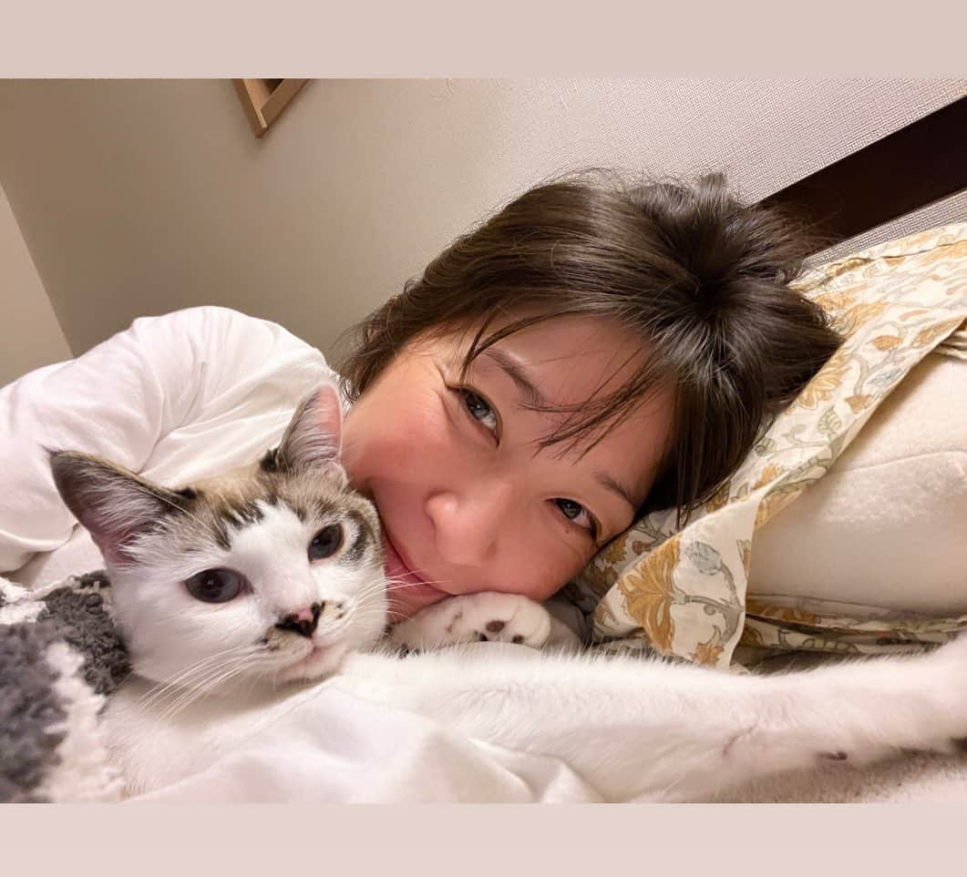 小野真弓のインスタグラム：「こんにちにゃ🩷 ナナちゃんにゃ🐯🐾^ ^  かわいいかわいいあたちに ぞっこんの、おかーさん😆💞 あたちの為なら〜 何だってしてくれるんだってぇー😆👸🎀  今日は、お姫なあたちの〜 こだわりの、おトイレのお砂を紹介するにゃ(*^ω^*)🐾 特別大サービスで実演写真も見せてあげる😆🎀  ふわふわで柔らかいお砂にゃよ🐾✨ あんよに優しいにゃ☺️  ドイツの森から生まれたお砂だにゃ🇩🇪 自然素材だから、ほのかに木の香りがして、 ナナちゃん、ドイツの森林のおトイレにいるような気分にゃ🌳☺️  おかーさんも、 人間のおトイレに流せるから、 片付けがしやすいって！ ゴミが減ったって喜んでるにゃ🙋‍♀️ 何より環境と、ナナちゃんの体に優しいのが、 安心で嬉しいよねって☺️  あとね、、、、🤫  くちゃくないのが、びっくりにゃーーー＼(^o^)／ 💩🎉  ナナちゃんが丁寧に埋めると、 おかーさん、気づかないくらい😲✨  いろんなお砂があるけど、、 みなちゃまは、 どんな猫砂使ってるかにゃ❓😆 オススメありますか❓  ナナちゃんお気に入りの キャッツベストさん、良かったら 是非チェックしてみてにゃ😆🐾  明日１４日からAmazonプライム感謝祭で お安く手に入るチャンス にゃんだって🛍️✨^ ^  cm女王目指してる👸🎀 アイドル志望💖 ナナちゃんでちた😆✨  それでは午後も、良い時間を お過ごしくださいにゃ(*´∀｀*)🍀  🌲✨🌲✨🌲✨ キャッツベストは、国際森林認証制度であるPEFC認証の持続可能な木材産業からの二次木材が原料です。キャッツベストを製造するために新たに木が伐採されることはありません。また、天然資源だけを使用しているため、生分解性で堆肥化できる、サステナブルな“猫にも・人にも・環境にもやさしい”猫砂です。  #PR #キャッツベスト #猫砂 #猫トイレ @catsbest_jp  #ナナちゃんcm #雑種猫#元外猫#ナナちゃん #あまえんぼ猫 #アオナナ#ちりん#くー #みんなで愛用中 #犬と猫のいる暮らし#犬猫日記」