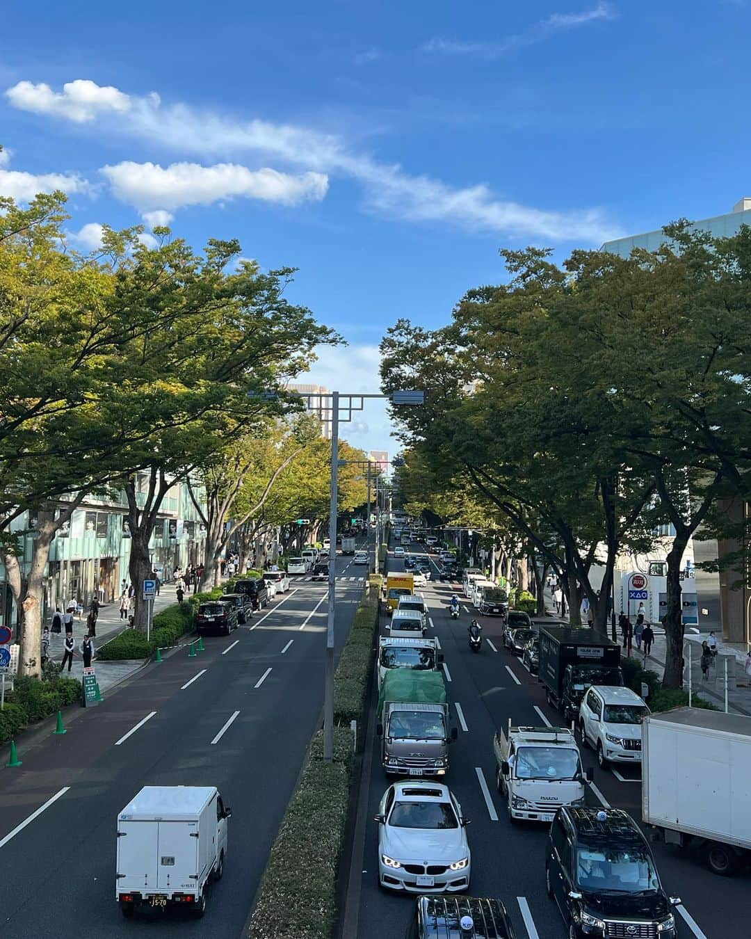 まきとんさんのインスタグラム写真 - (まきとんInstagram)「I love the recent temperature🍂 the season when I'm active a lot . . . #outfit #outfitoftheday #ootd #fashion #fashioninspo #photoideas #tokyo #harajuku #omotesando #japan #adidas #walesbonner #palace」10月13日 11時57分 - lv_iw