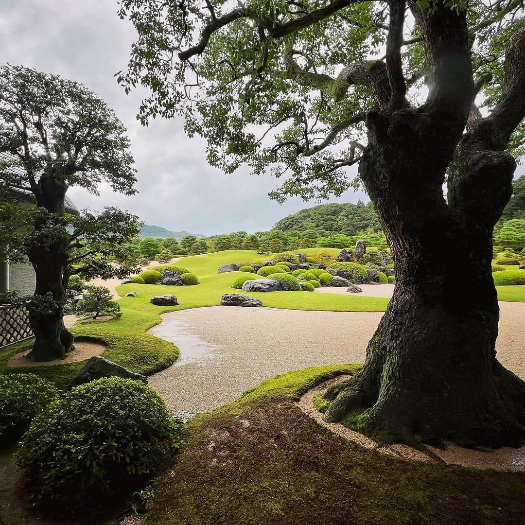 畑亜貴さんのインスタグラム写真 - (畑亜貴Instagram)「庭園が美しい足立美術館。そして道の駅広瀬富田城へ。  #akhtravelogue」10月13日 12時11分 - akihata.jp