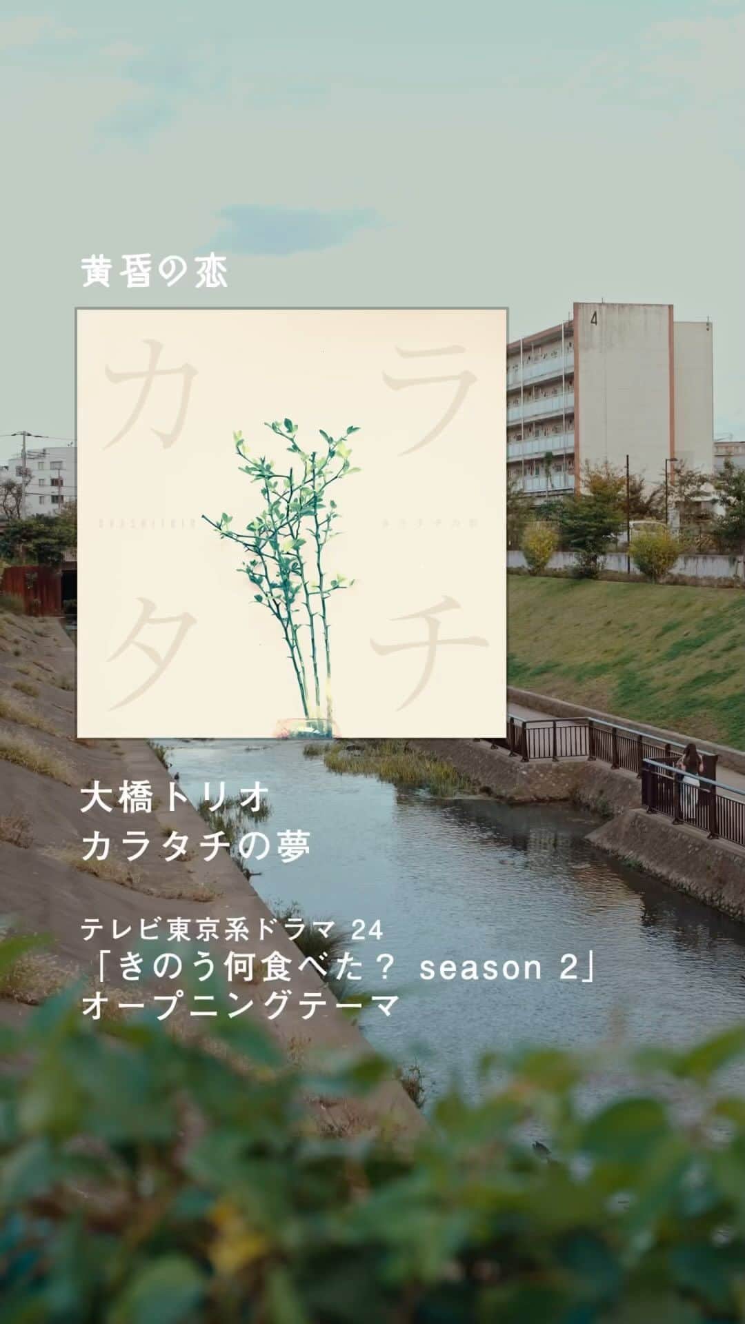 大橋トリオのインスタグラム：「. #きのう何食べた？ season2 今夜24時12分から第2話放送🍚🥢  OPテーマも是非です。 #大橋トリオ「#カラタチの夢」  1話見逃しの方は動画配信サービスでチェック✔︎ @movie_nanitabe   #何食べ #西島秀俊 #内野聖陽  #山本耕史 #磯村勇斗」