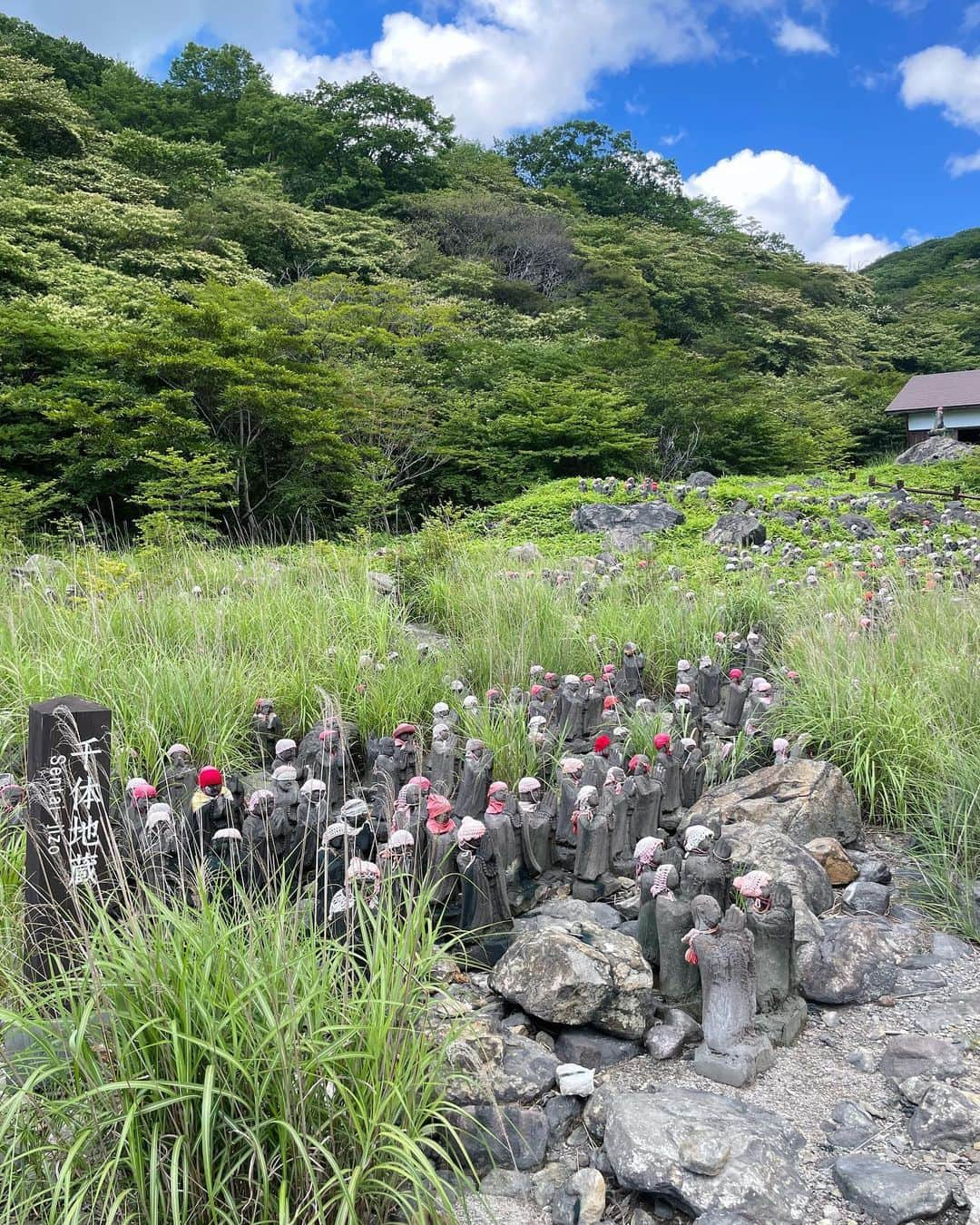 東條公美さんのインスタグラム写真 - (東條公美Instagram)「那須旅 Nasu trip photo dump🌿  1. 約1300年前に開湯された鹿の湯 2.穏やかな源泉の川 3. 割れた殺生石 4.殺生石から見下ろした誰もいない景色 5.静寂な千体地蔵 6.木漏れ日の川の音 7.吸い込まれた珈琲工房 8.あたたかいそば処 金太楼 9.米粉のワッフルコーンソフト 10.素敵な笑顔と音楽と宝箱  不思議なご縁も多く ゆっくりと時間かけて大切なお話をしてくださったり またかえってきてねと故郷のように声をかけてくれたり 心抱きしめられとても癒された初の那須旅でした。 ありがとうございました。  また逢いにいきます🤍」10月13日 12時25分 - tomomi_tojo