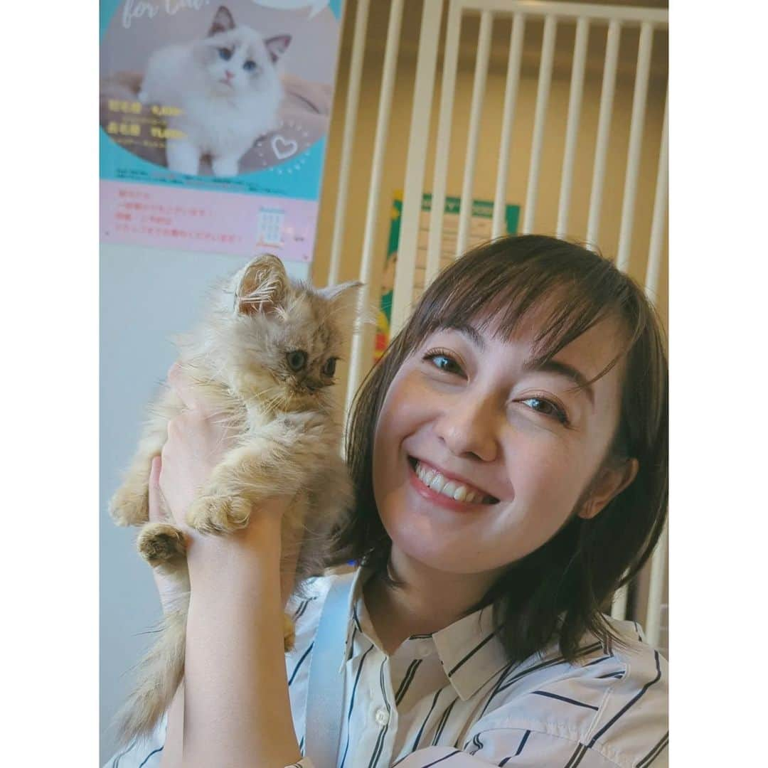 松山メアリさんのインスタグラム写真 - (松山メアリInstagram)「@dogrescue_anella の千葉流山店へ行ってきました！  コロナ禍にわんちゃん猫ちゃんを迎えた人たちが 少しずつおでかけもできるようになり 日常が戻ってきて ペットという家族の存在が不自由に感じて無責任に手放されたこたちもたくさんいる話を聞くととても悲しいです。  その不自由は愛しいこたちとの時間だし、我慢でも苦な事でもないはず… 自分に何かないかぎり 必ず先におみおくりする日が来る事も覚悟して迎えるのが当たり前だと私は思っています。 だから、不自由でもなんでもないのです🫧  アネラにはいろんな環境から来たわんちゃん猫ちゃんがたくさんいますが、 みんながずっとの家族に出会えて このおうちの家族になれて世界一幸せだったって思えるくらい 大切にしてもらってほしいなって思います♡  アネラさんは @petsalon_pinkbeach @anella_cafe 新宿店 @anella_cafe_nagareyama 千葉流山店  そして @anella_cafe_sakura 新しく千葉県の佐倉のほうにもシェルターができます🐾  ぜひ、可愛いみんなに会いに行ってみてくださいね！  #保護犬#保護猫 #里親募集#里親募集中 #dog#cat」10月13日 12時58分 - marymatsuyama_official