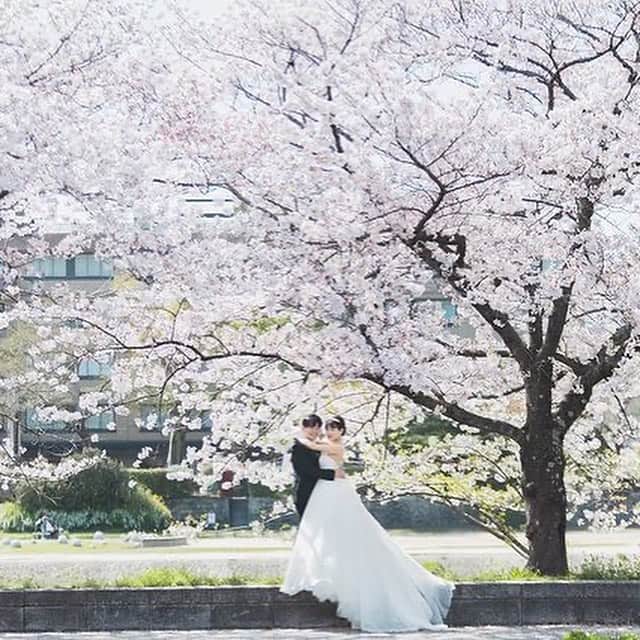 ArtGraceWeddingHillsさんのインスタグラム写真 - (ArtGraceWeddingHillsInstagram)「@artgraceweddinghills   京都駅よりバスで15分 風情ある京都の街並みを抜けた先にあるのは自然豊かな鴨川  当館はそんな鴨川沿いに佇む会場です  季節の移ろいを感じながら ここでしか叶わない一枚を残してください  #アートグレイスウエディングヒルズ #アートグレイス京都  ▼ブライダルフェアのご予約は @artgraceweddinghills TOPのURLより ベストレート保証でご案内いたします」10月13日 22時56分 - artgraceweddinghills