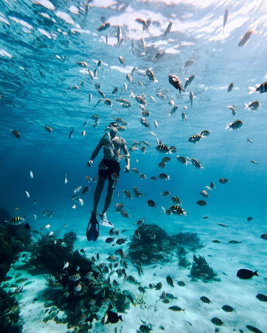 リッツ・カールトンさんのインスタグラム写真 - (リッツ・カールトンInstagram)「Get an introduction to Caribbean waves, and take the plunge beneath the blue. Between arrival and departure, find the moment that changes everything at The Ritz-Carlton, #GrandCayman. How will a stay leave you?」10月13日 23時10分 - ritzcarlton