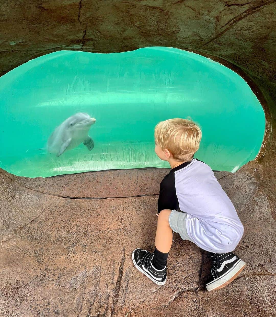 ケン・ロックゼンのインスタグラム：「Sea World」