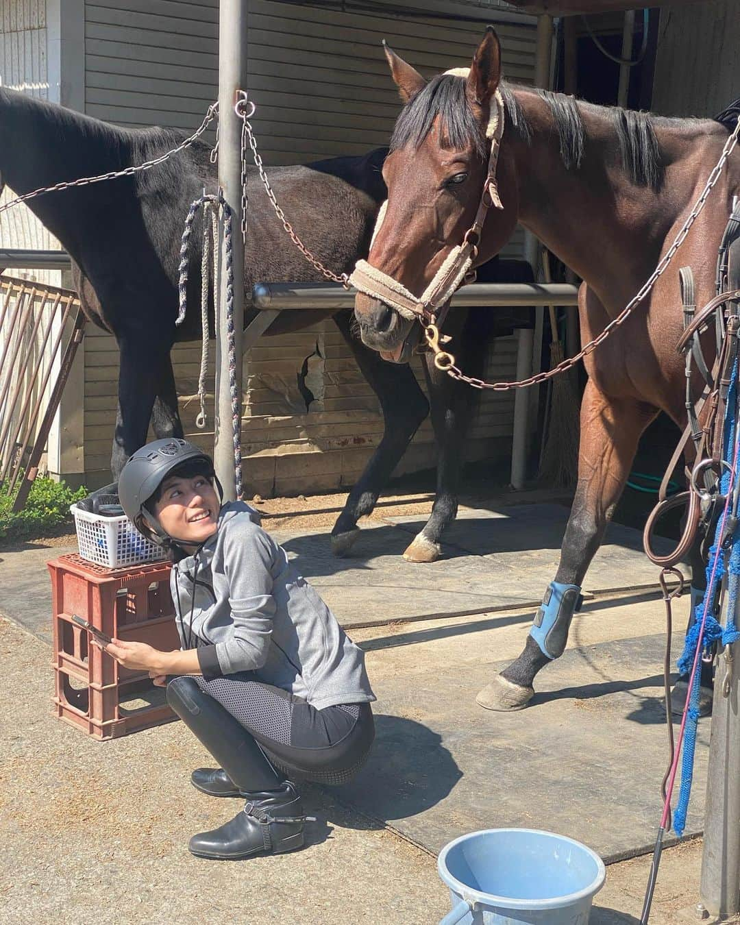 芳野友美のインスタグラム：「#乗馬レッスン に行ってきたよ🏇 　 ①いろんな角度を探りながら写真を撮ろうと頑張るも、結局可愛くて見とれる私＆舌を出すやんちゃなちくわ。 　 ② いつも一緒に連れて行ってくれる真知子さんの愛馬サランセとも！ 御年30歳なんだけどまだまだ若々しくて元気いっぱい☆ さすが馬生経験長いだけあってカメラ向けたらちゃんと目線くれる✨ 　 こんだけ頑張って撮ってたけど、良いショットが撮れず、いつの間にか撮ってくれてたこっちの方がいい写真だったというオチ🤣 　 ③写真だと私のスマホが邪魔で顔がちゃんと見えないので、ご機嫌な可愛いサランセをご堪能ください♪ 　 真知子さんがサランセを撮ってるところ邪魔をする私。 🐴と🐒みたいでしょ（笑） 写真と思って顔出したら動画だった！！ 　 あ～馬たちとの時間癒し❤️」