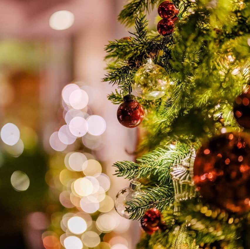 グランドプリンスホテル新高輪さんのインスタグラム写真 - (グランドプリンスホテル新高輪Instagram)「. 🎄高輪クリスマス2023🎄 💫願いを叶えるきらめき💫  2023年春、日本庭園にひとつの竹あかりが灯りました。 今では400個以上ものきらめきが優しく輝き、世界中のお客さまに感動をお届けしています。  心温まるクリスマスの特別なひとときに、きらめきに満ちた体験をご用意いたしました✨  大切な人と過ごすクリスマスに願いを込めて。  🎄Takanawa Christmas 2023🎄 💫Sparkle that makes your wishes come true💫  Enjoy a special heartwarming Christmas moment. We will be offering a sparkling experience.  #グランドプリンスホテル新高輪 #グランドプリンスホテル高輪 #ザプリンスさくらタワー東京 #クリスマス #クリスマスプレゼント #ホリデー #煌めき #竹あかり #grandprincehotelshintakanawa  #grandprincehoteltakanawa #theprincesakuratworetokyo #christmas #christmasparty #holiday #bamboolantern」10月13日 15時06分 - grandprincehotel_shintakanawa