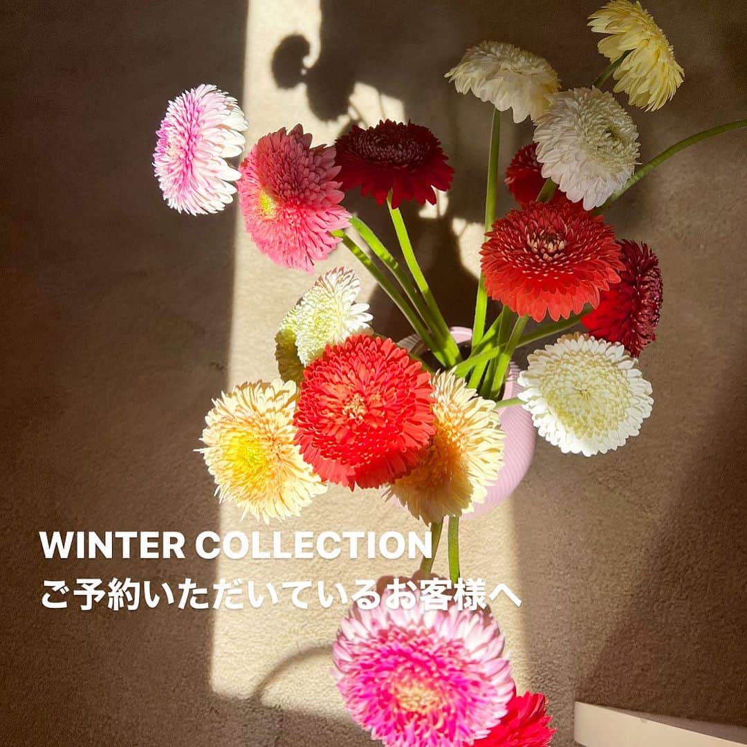 Tsuru by Mariko Oikawaのインスタグラム：「【重要なお知らせ】  WINTER COLLECTIONをご予約いただいたお客様へ重要なお知らせがございます。  ご予約商品の入荷と決済に関するご案内を10/12（木）にメールをお送りをさせて頂きました。 ご確認をくださいますようお願いを申し上げます。  また決済エラーとなったお客様には、再決済のご案内をいたしております。 大変お手数ではございますが、期限内に再決済のご対応をお願い申し上げます。  ※なお決済エラーの原因といたしまして、セキュリティロックがかかってしまい、決済エラーになっている場合が多いようでございます。 これはカード会社側で発生するエラーとなりますため、弊社では詳細が分かりかねます。 恐れ入りますがカード会社様にご確認くださいますようお願い申し上げます。  ご不便をおかけ致しますが何卒ご理解・ご協力をお願い申し上げます。  なにかご不明な点がございましたら、オンラインストアの問い合わせよりご連絡くださいませ。  何卒宜しくお願い申し上げます。  TSURU online store  #tsuru #tsurubymarikooikawa」