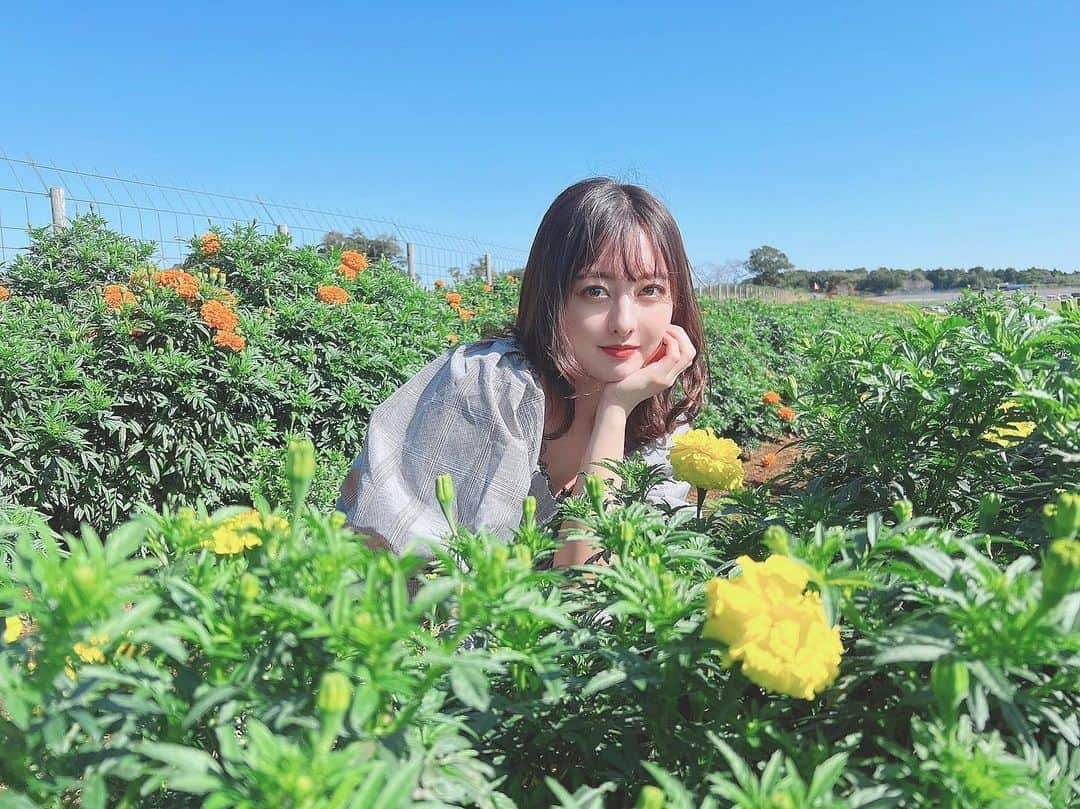 羽島みきのインスタグラム：「黄色のお花って どの季節もかわいいね🌼」