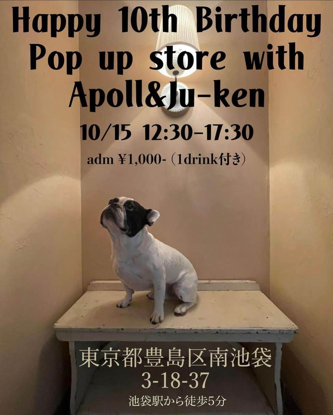 Ju-kenのインスタグラム：「Happy 10th Birthday’s Pop up store 東京都豊島区南池袋3-18-37 10/15 12:30〜17:30 に行います！  adm ¥1,000-(1drink&ステッカー付き)  10歳を記念したニューデザインを友人の画家 @yoichiro_art が描きおろしてくれました😆  当日は数々の新しいアパレルやバッグ、クッションカバーに加え、先日完売したアクリルキーホルダーの再販、そしてイラストも限定で販売させて頂きます！  お気に召したアイテムが有りましたら是非！  お買い上げ頂いた方とはアポロとチェキでの記念撮影をさせて頂きます📷 ¥10,000円以上お買い上げ頂いた方には、非売品のマグカップをプレゼント！ 当日ニューアイテムの在庫がなくなってしまった場合の通販ご希望の方は、送料無料にさせて頂きます。  ※今回はクレジットカードによる決済が出来ません、現金のみの扱いとなりますので、ご注意下さい🙏  例年通り、当日のスマホでの撮影等はお断りしております、ご遠慮下さい。  保護者同伴での未成年者は無料でご入場頂けます。  高齢の為、アポロの体調、機嫌によって途中退出し、お散歩タイム等を取らせていただきます、ご了承下さい。  沢山の愛あるご来場を楽しみにしております！  Apollo & Ju-ken  #popupstore #apollo #10歳」