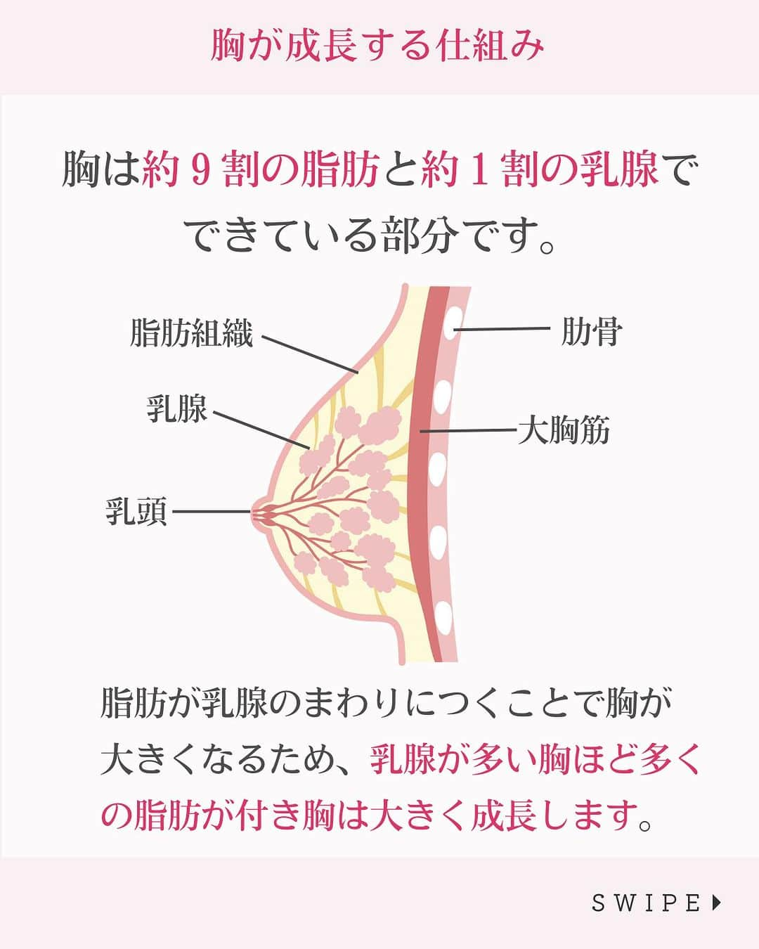 MMM_bustupsalonさんのインスタグラム写真 - (MMM_bustupsalonInstagram)「＼胸が成長する仕組みとは！？／  胸の大きくなる時期が過ぎると バストアップは難しい？ と心配される方も多いのではないでしょうか。  胸の成長期と言われる10代を過ぎても 実は、バストアップは可能なんです。  今回は、胸が成長する仕組みについて解説いたします！ 胸が大きくなる仕組みを理解し、 効率よくバストアップを目指しましょう⭐️  ****  ✨Autumnキャンペーンスタート！✨ Autumnキャンペーンはプレミアム💖 専用機器を用いた体質checkが無料！ バストの発育阻害因子をチェックいたします。  初回限定150分、4,950円（税込） 各店先着20名限定 電話予約なら更に500円OFF！  気になっている方は、ぜひこの機会に プレミアム体験コースをお申し込みくださいね☺️  ▼バストアップ専門 メディカルサロンM.M.Mの バストアップ体験コースを是非お試し下さい♪ 30種の施術からあなたに最適な2種のマシンを 贅沢に組み合わせてしっかりケア！ 「一度でもブラの隙間が埋まる！と話題です。  ホットペッパービューティーにお得なクーポンを掲載中。 「メディカルサロンM.M.M　表参道店」 「メディカルサロンM.M.M　銀座店」 「メディカルサロンM.M.M　大阪梅田店」 「メディカルサロンM.M.M　心斎橋本店」 で🔎検索下さい。  @mmm_bustupsalon では、 これからもバストに関する様々な お役立ち情報を配信していきます🙏✨ ぜひ『フォロー』と、この記事が役に立ったら 『イイね＆保存』を よろしくお願いいたします🤍  #メディカルサロンMMM #バストアップMMM #バストアップ #バストアップサロン #バストアップ専門サロン #育乳サロン #育乳 #バストケア #バストアップ方法 #女子力アップ #ナイトブラ #育乳ブラ #美容が好きな人と繋がりたい #バストアップエステ #バストアップトレーニング #バストアップ効果 #バストメイク  #産後ケア #心斎橋サロン #梅田サロン #表参道サロン #銀座サロン #胸が成長する仕組み #バスト成長の仕組み #女性ホルモン　#豊胸　 #バストアップ成功  #バストアップしたい  #バストアップブラ」10月13日 20時00分 - bustup_salon_mmm