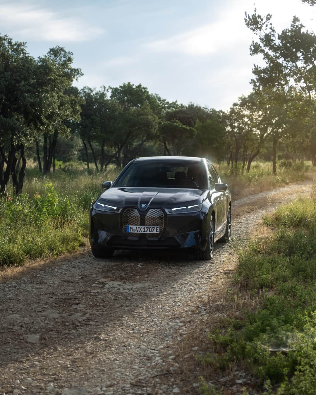BMWのインスタグラム：「Wonders in the wilderness 🌳⚡️ 📸: @lumafoto #BMWRepost   The BMW iX.  #THEiX #BMW」