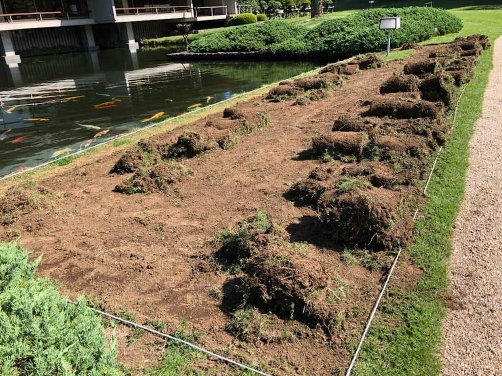 迎賓館赤坂離宮のインスタグラム：「＼ 芝生の張り替え ／  今週、#和風別館 南側の #日本庭園 にて、芝生の張り替えを行いました。  これから綺麗な芝が生えてくるのが楽しみです✨  （写真１：張替作業中、写真２：張替後）  ✨一般公開を実施しています✨ 🚶 JR、東京メトロ「四ツ谷駅」から徒歩約7分 🕙公開時間　10:00～17:00 （本館最終受付16:00、庭園最終受付16:30） ㊡水曜日 💰庭園　　　　　　　一般　300円 　本館・庭園　　　　一般 1,500円 　本館・別館・庭園　一般 2,000円  #迎賓館赤坂離宮 #東京 #港区 #四谷 #国宝 #四ツ谷駅 #参観」